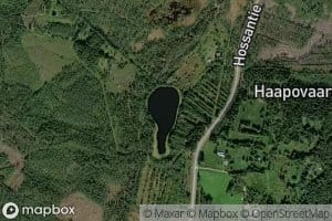 Haapolampi