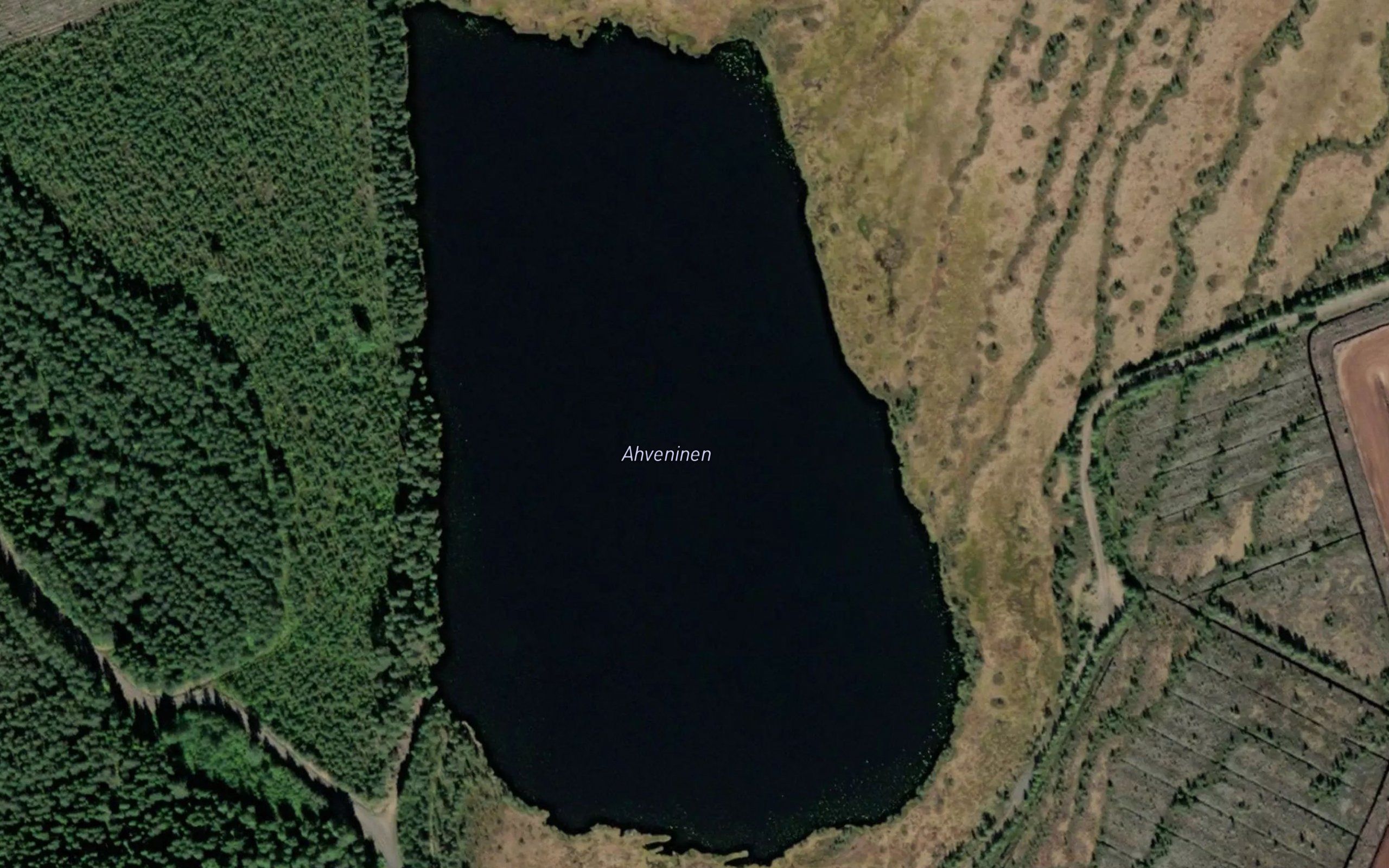 Ahveninen