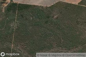 North Branch Gunn Creek