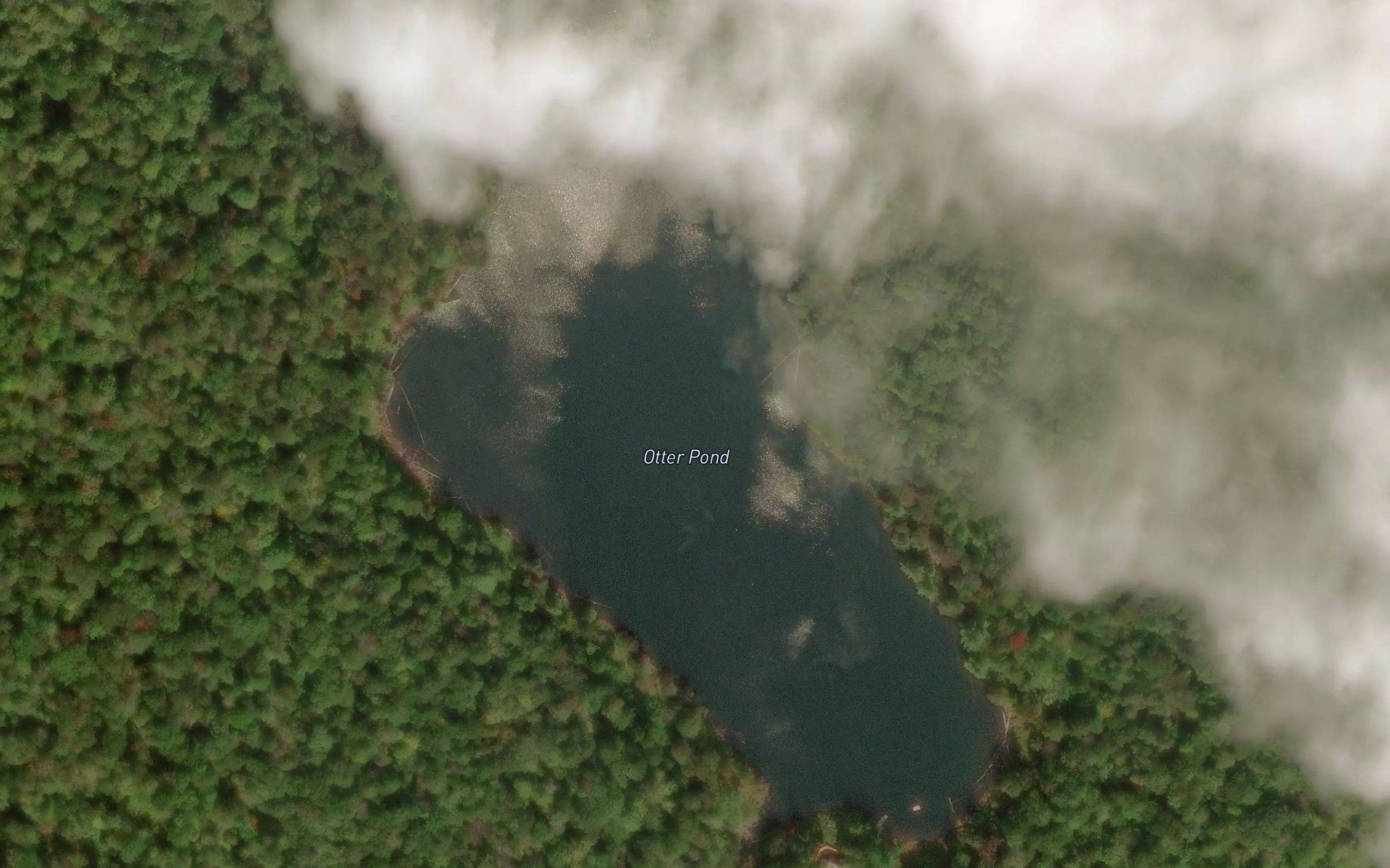 Otter Pond