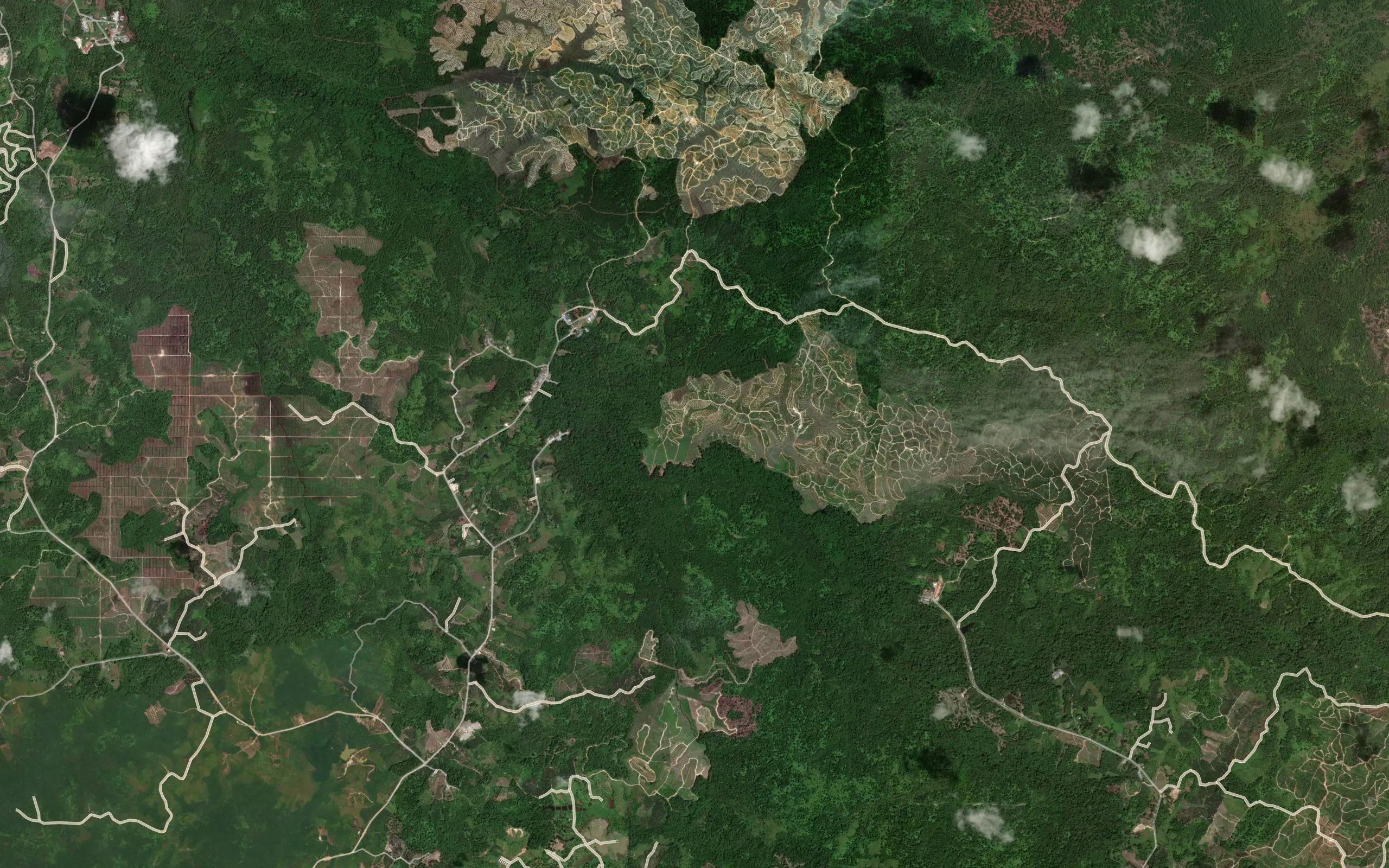 Sungai Arau