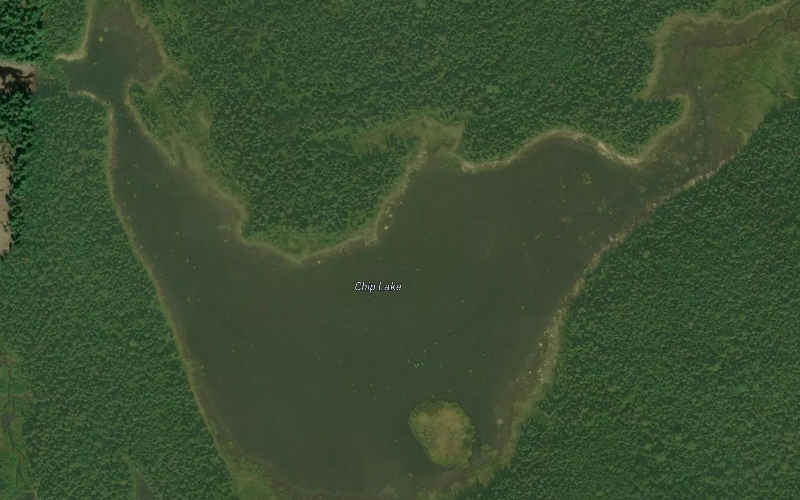 Chip Lake