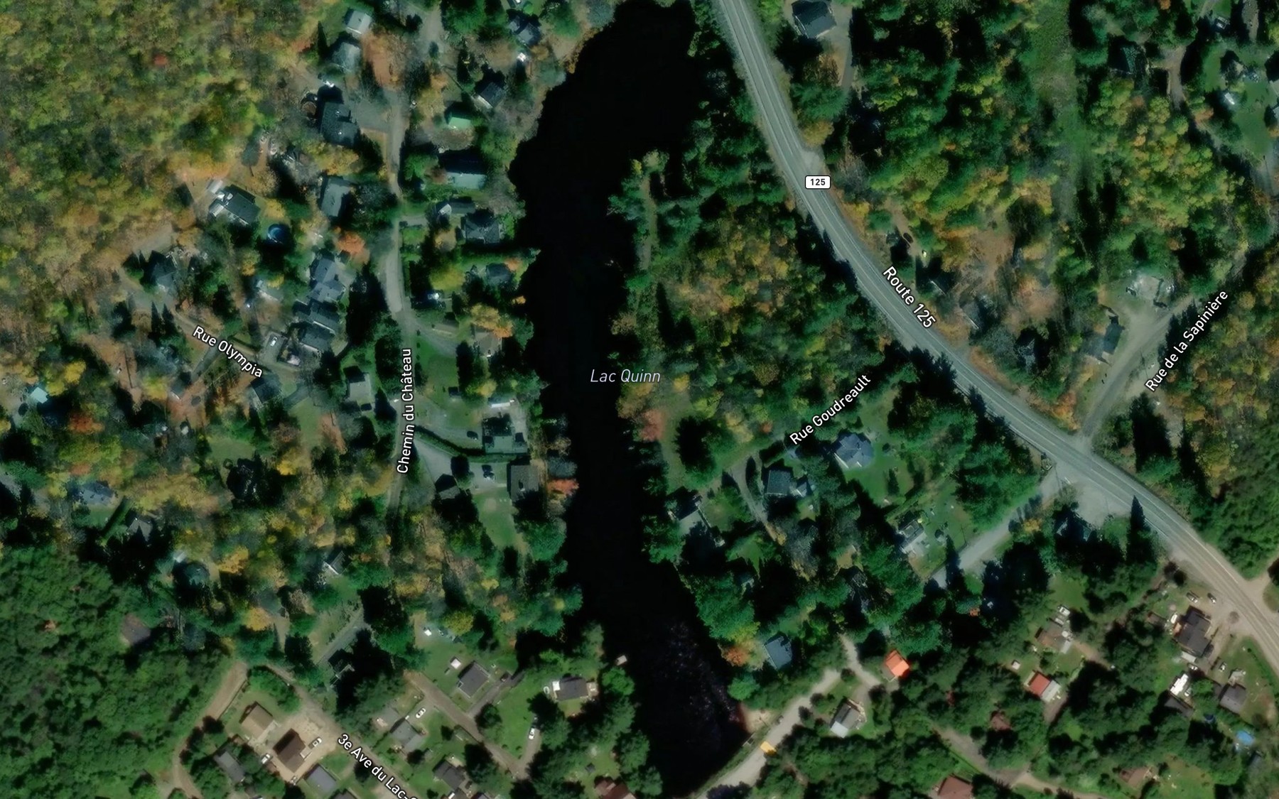Satellite map of the Lac Quinn