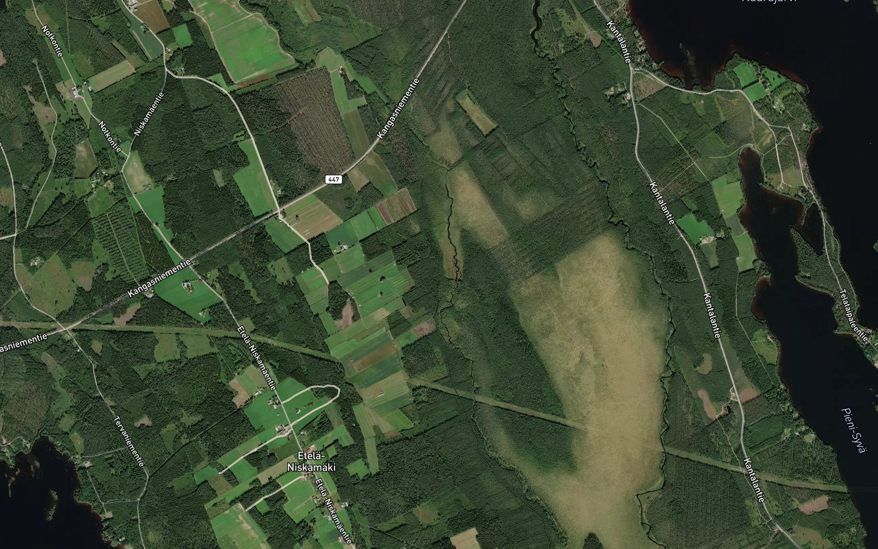 Satellite map of the Kissapuro