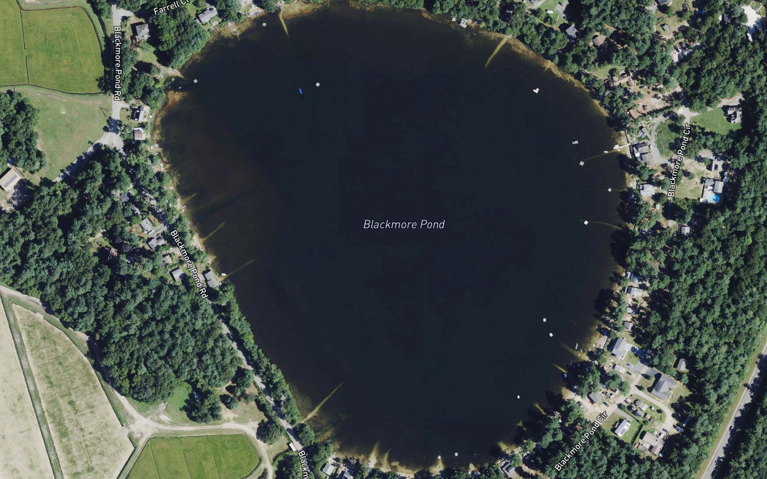 Blackmore Pond