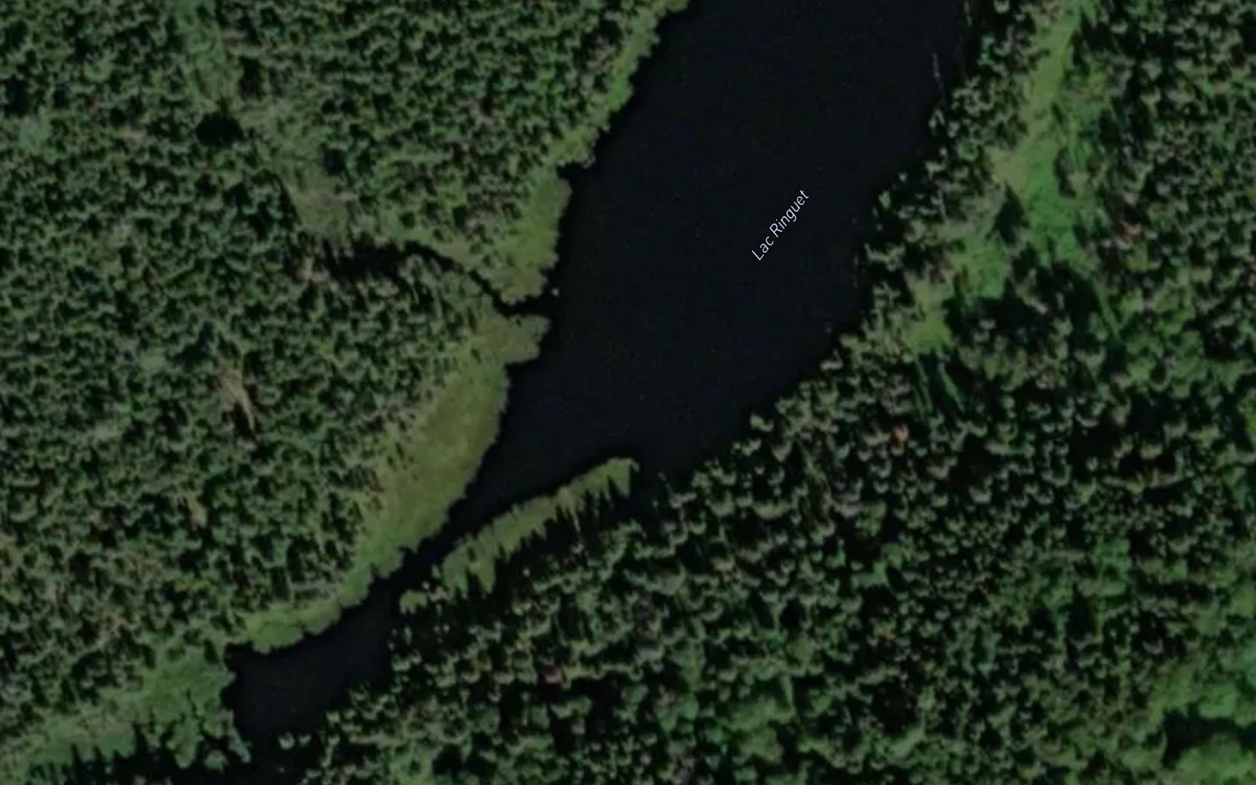 Satellite map of the Lac Ringuet