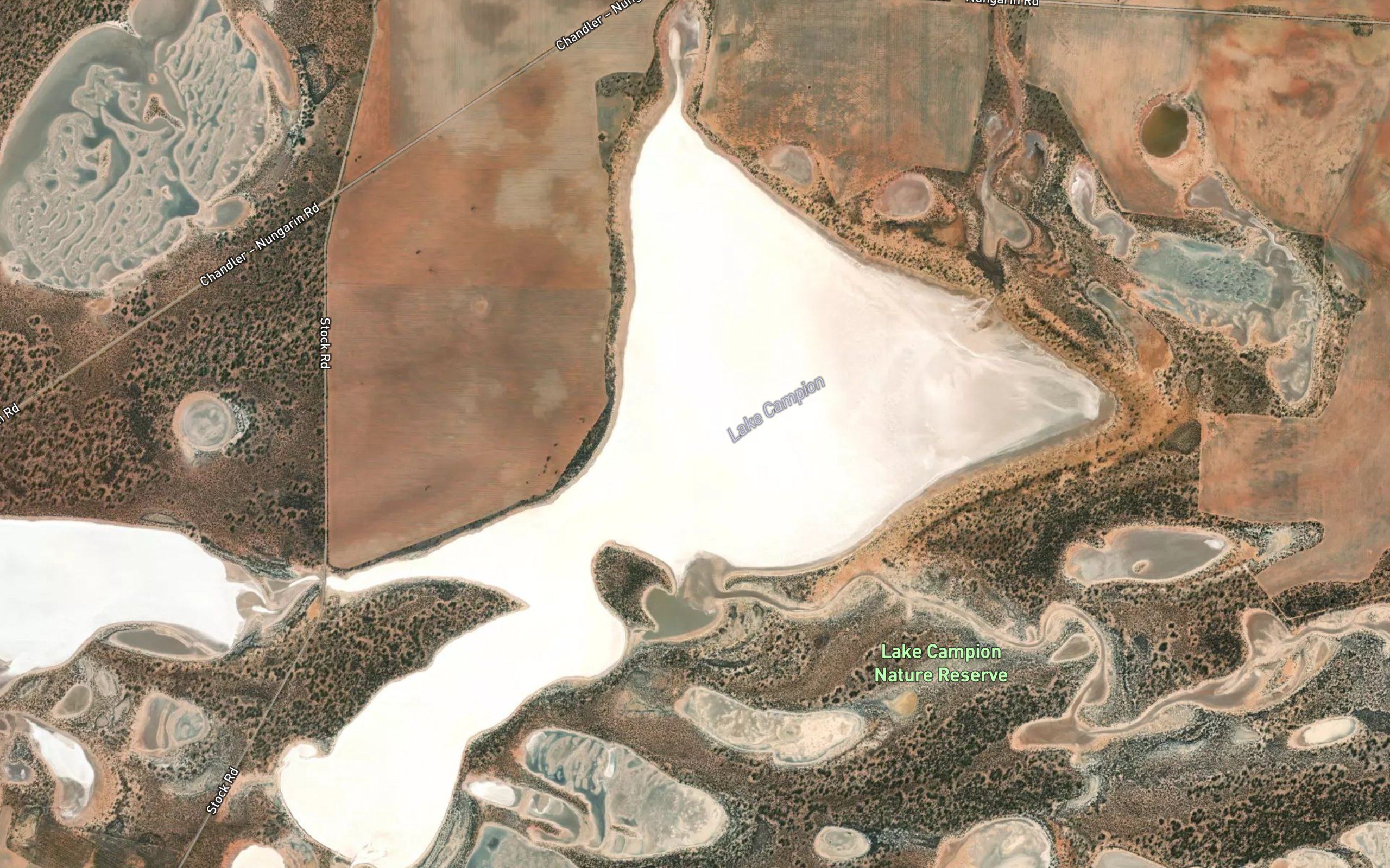 Lake Campion