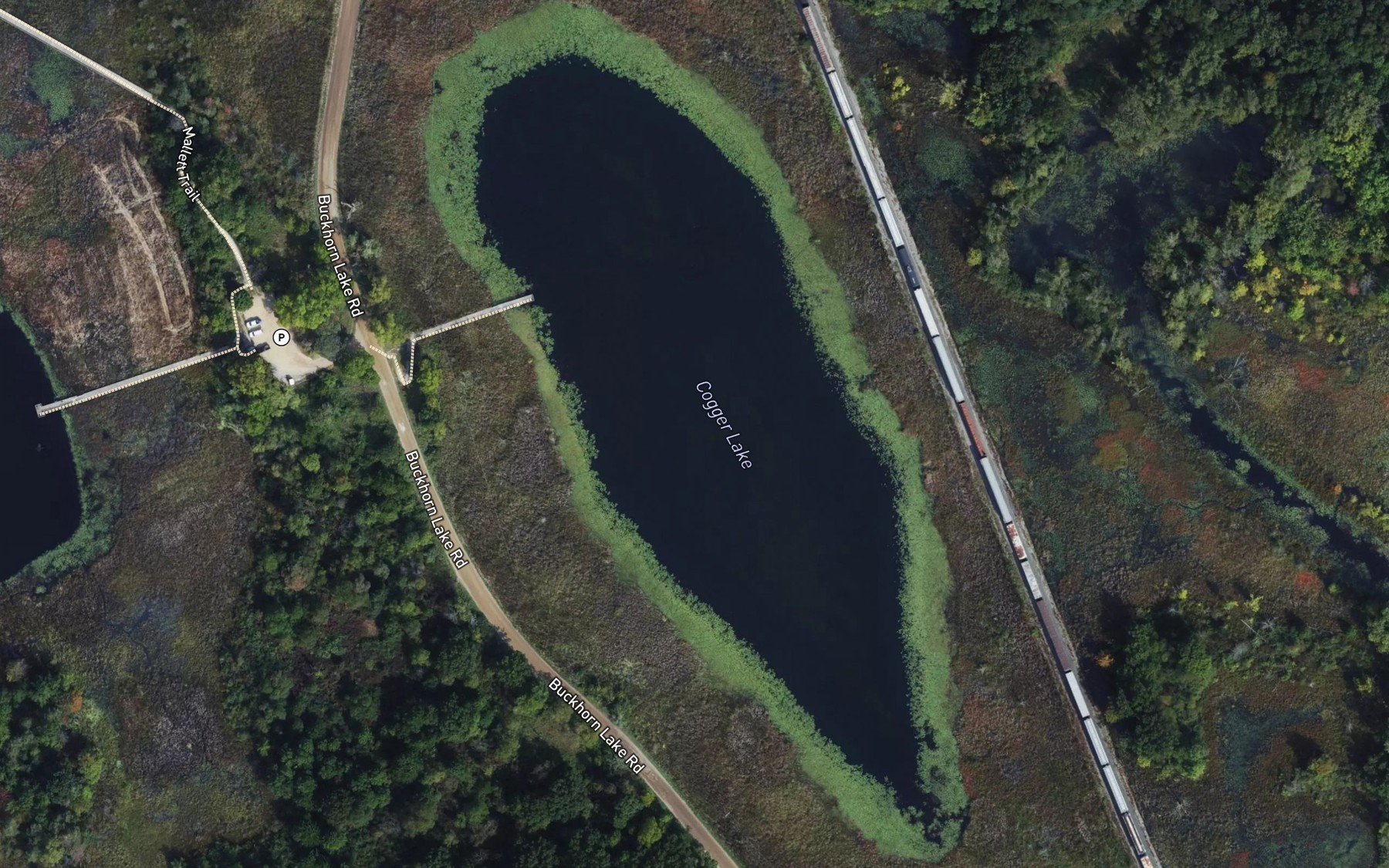 Satellite map of the Cogger Lake