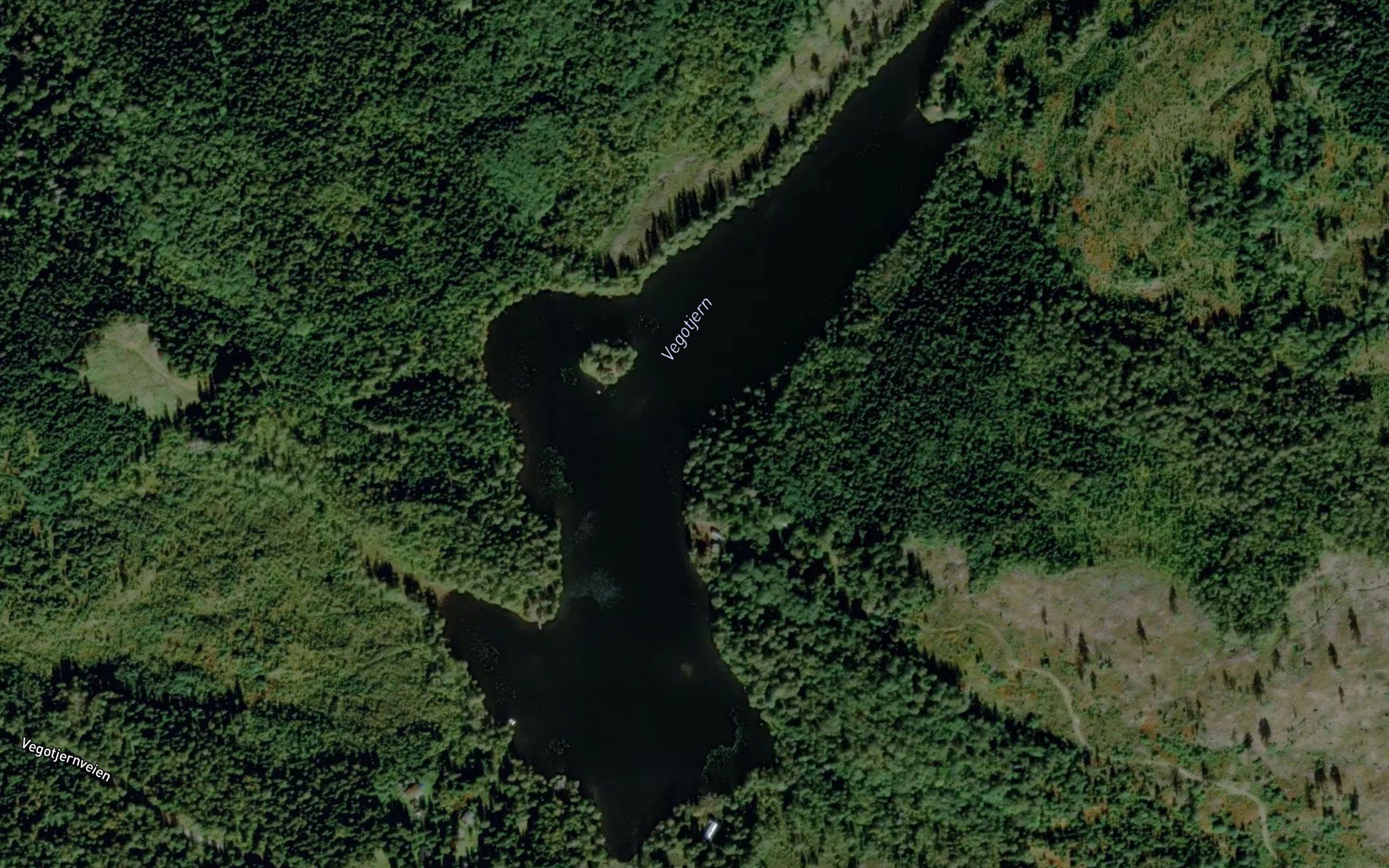Vegotjern