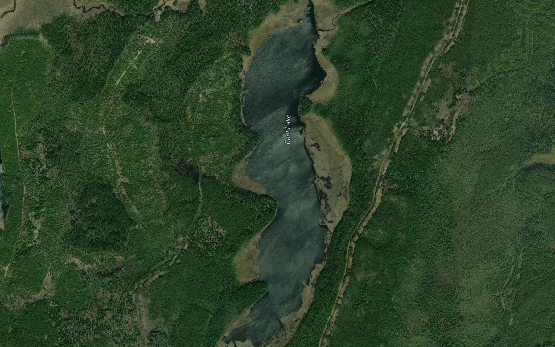 Satellite map of the Coot Lake