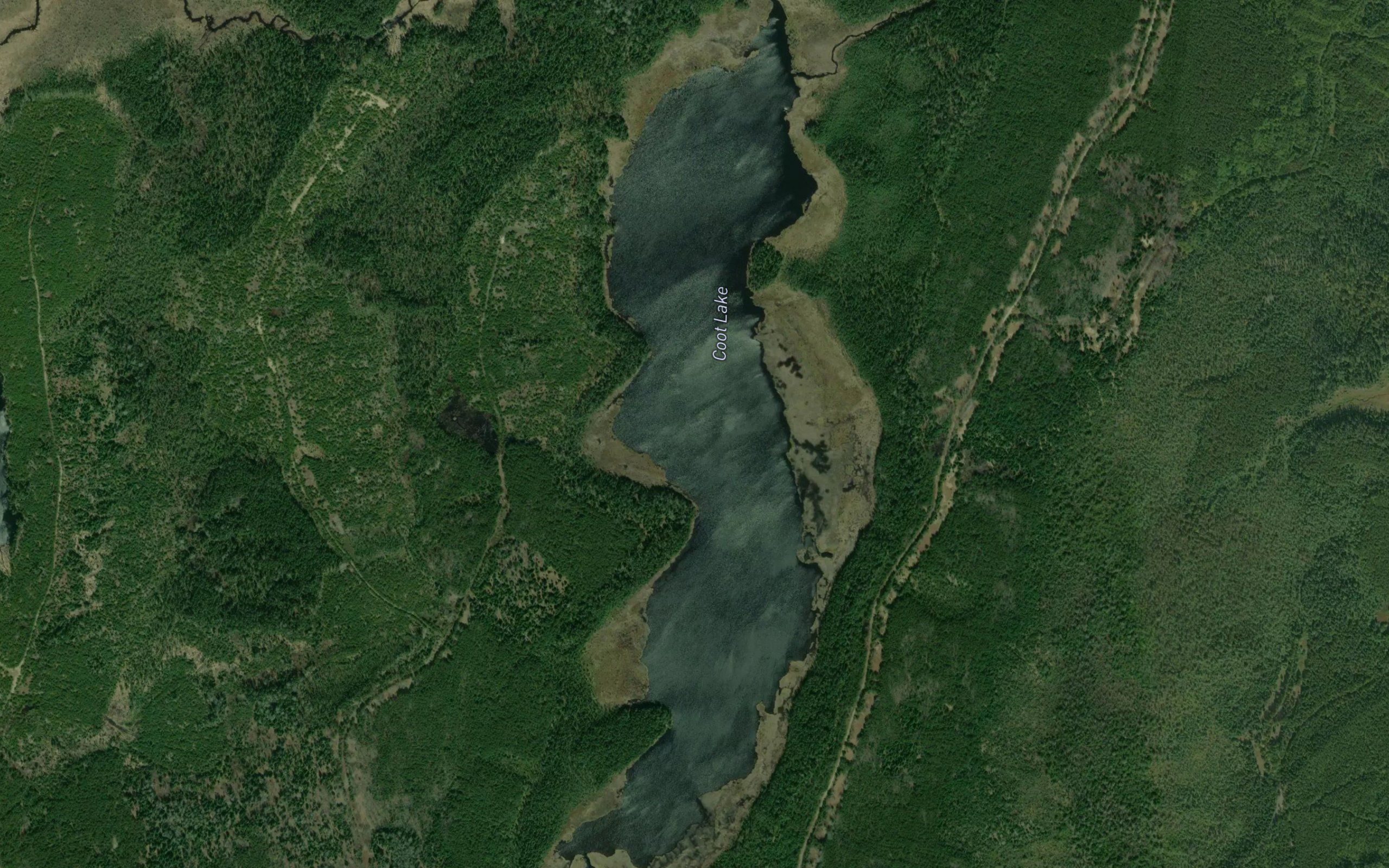 Coot Lake