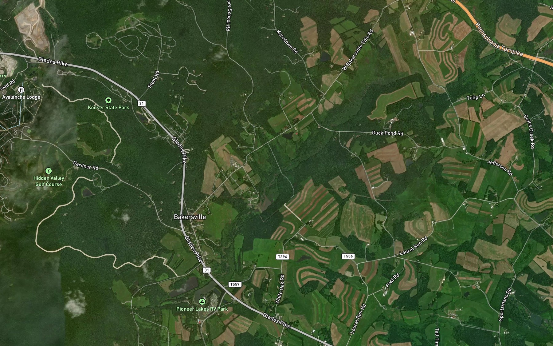 Satellite map of the Shafer Run