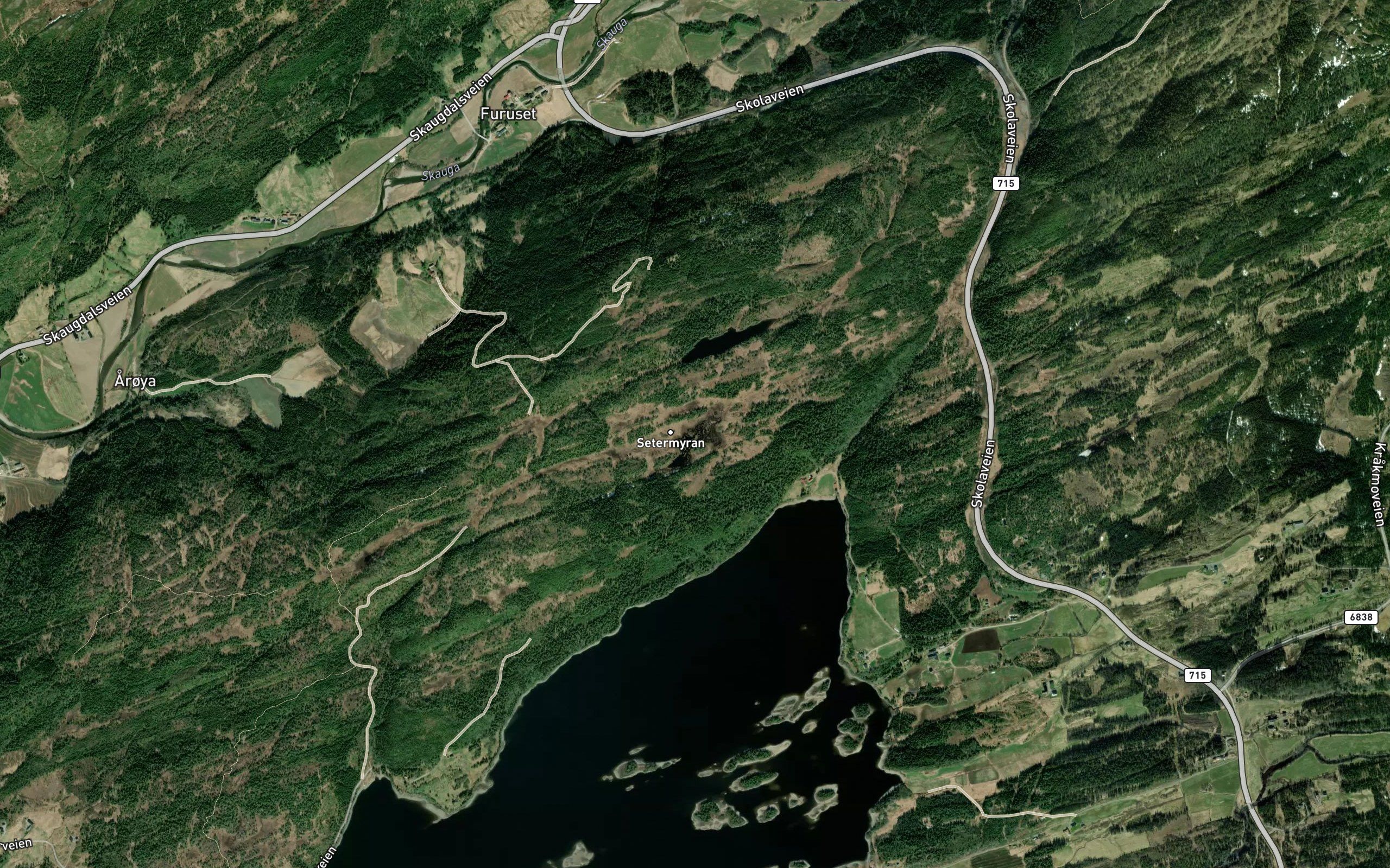 Gorrtjorna