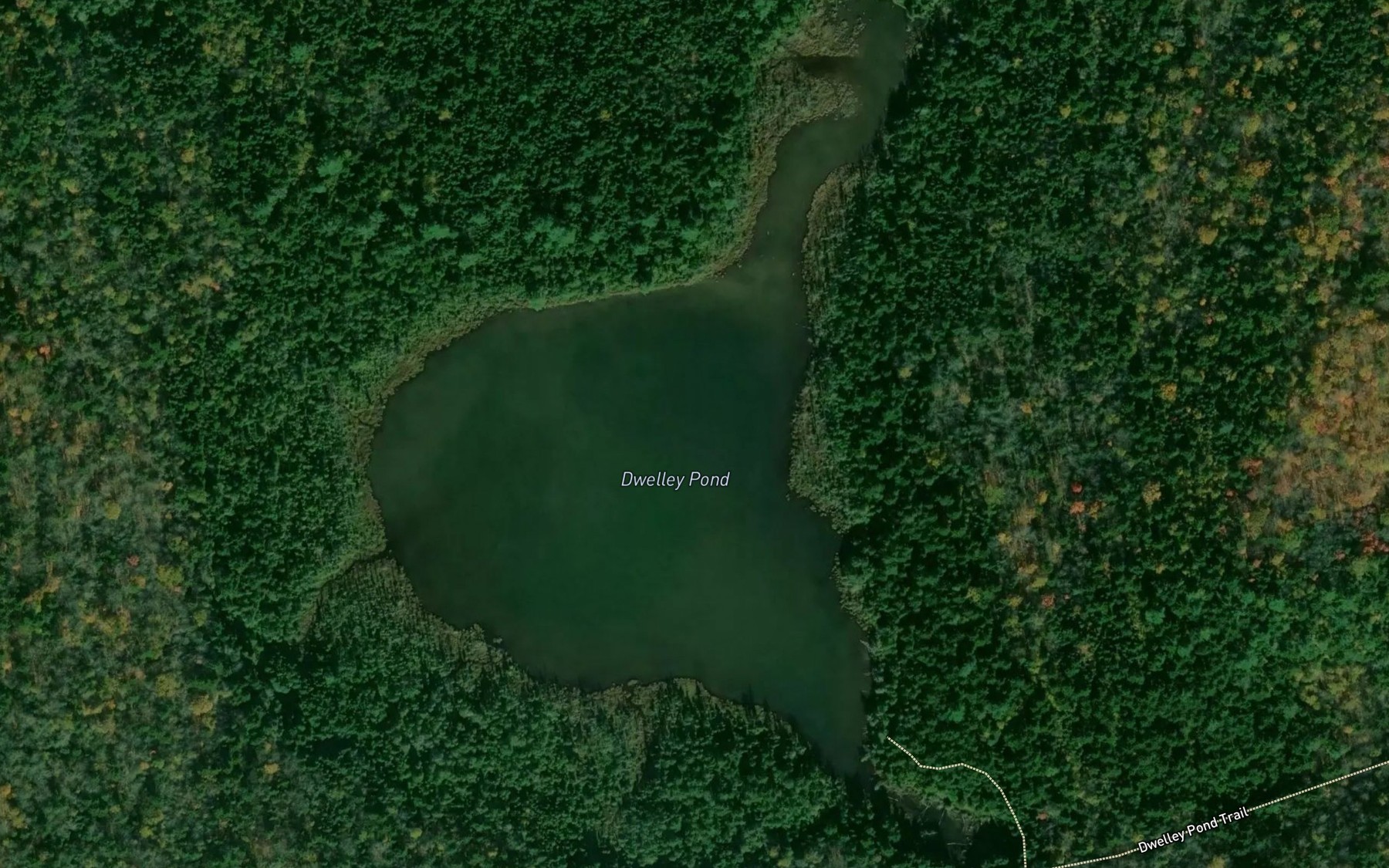 Satellite map of the Dwelley Pond