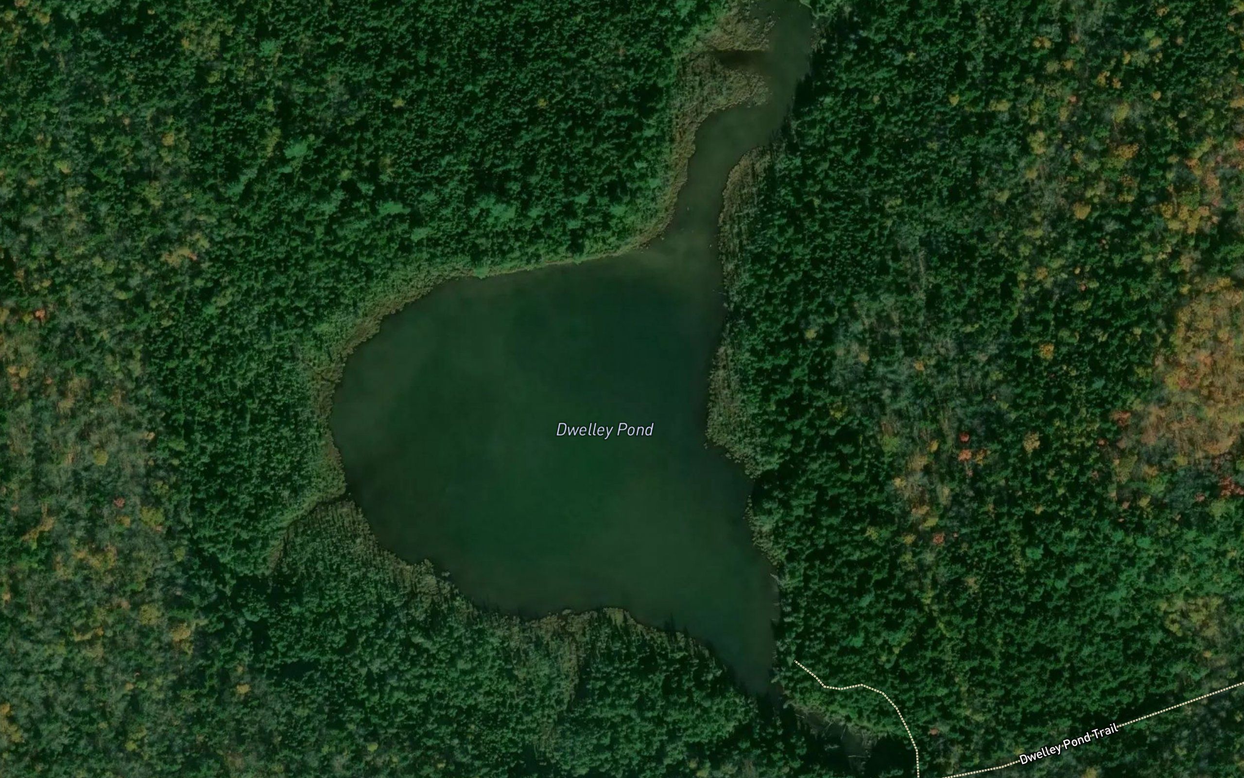 Dwelley Pond