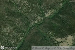East Fork Pierce Creek