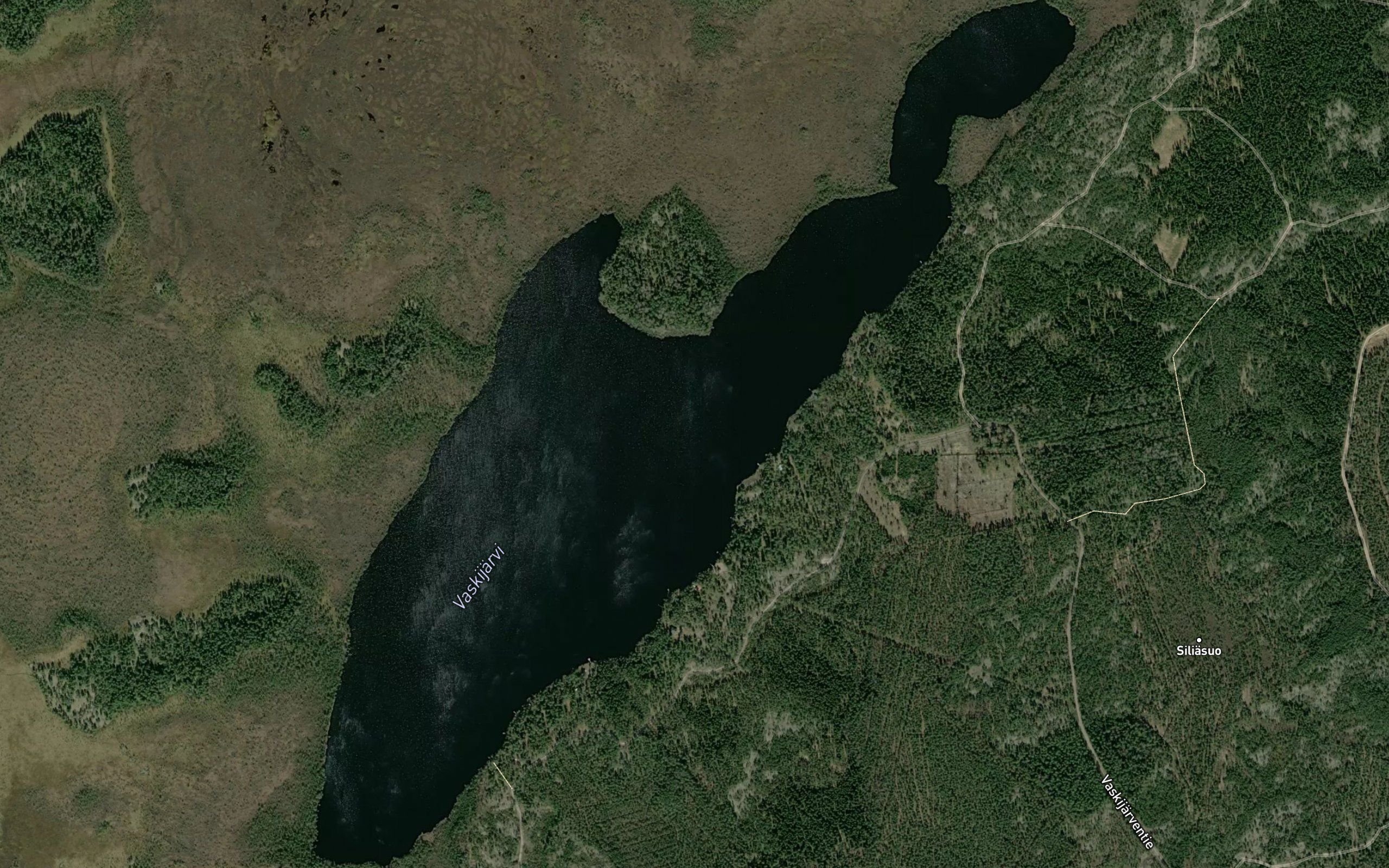 Vaskijarvi