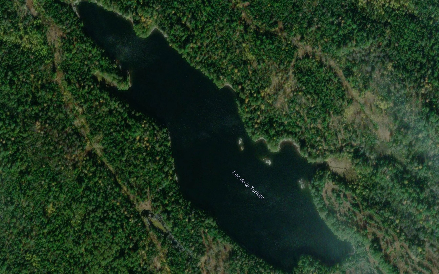 Satellite map of the Lac de la Turlute