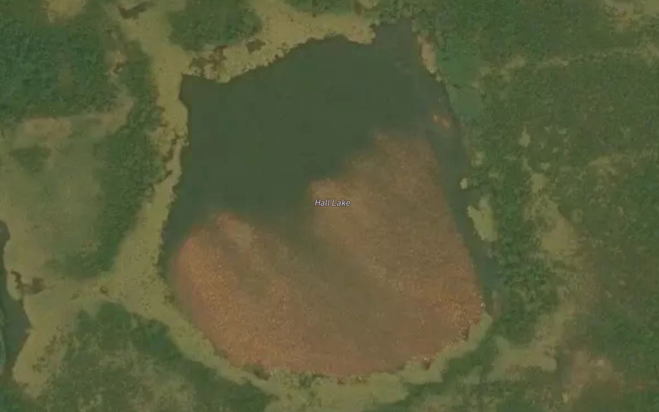 Hall Lake
