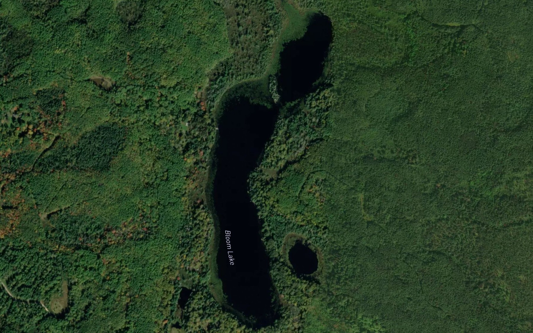 Satellite map of the Bloom Lake
