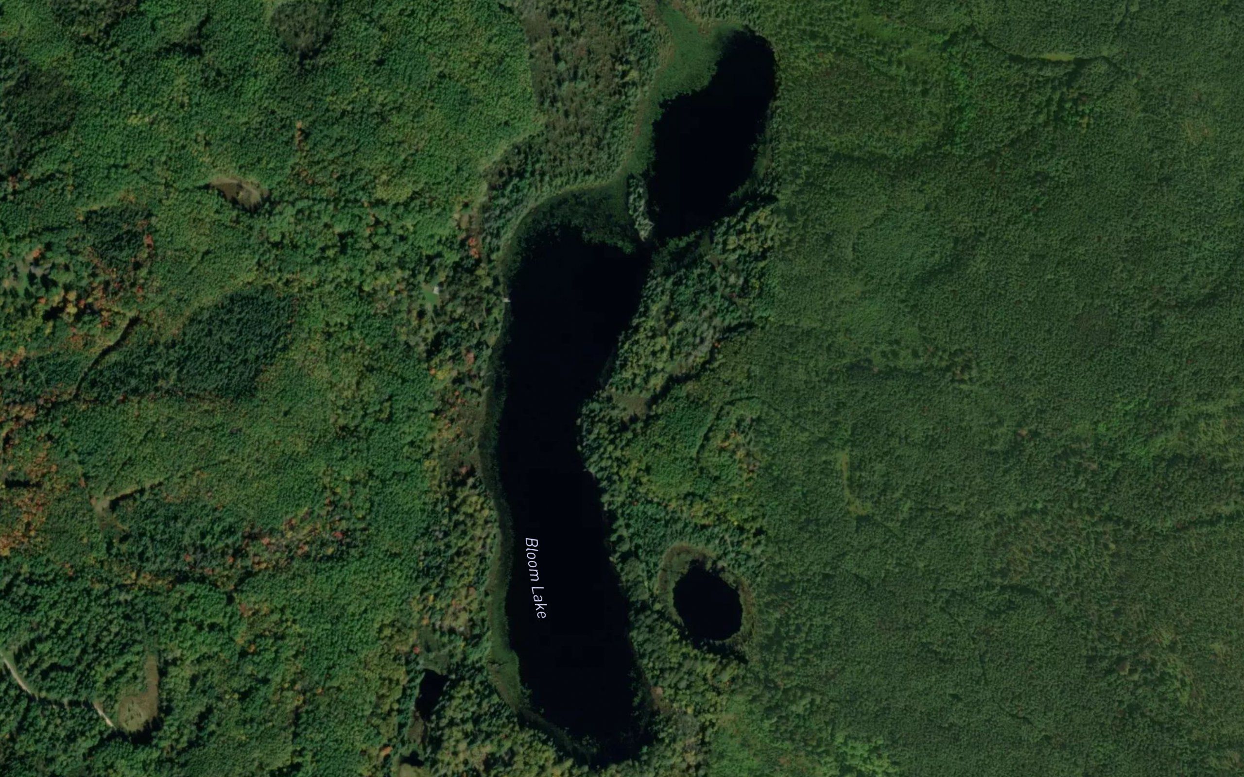 Bloom Lake