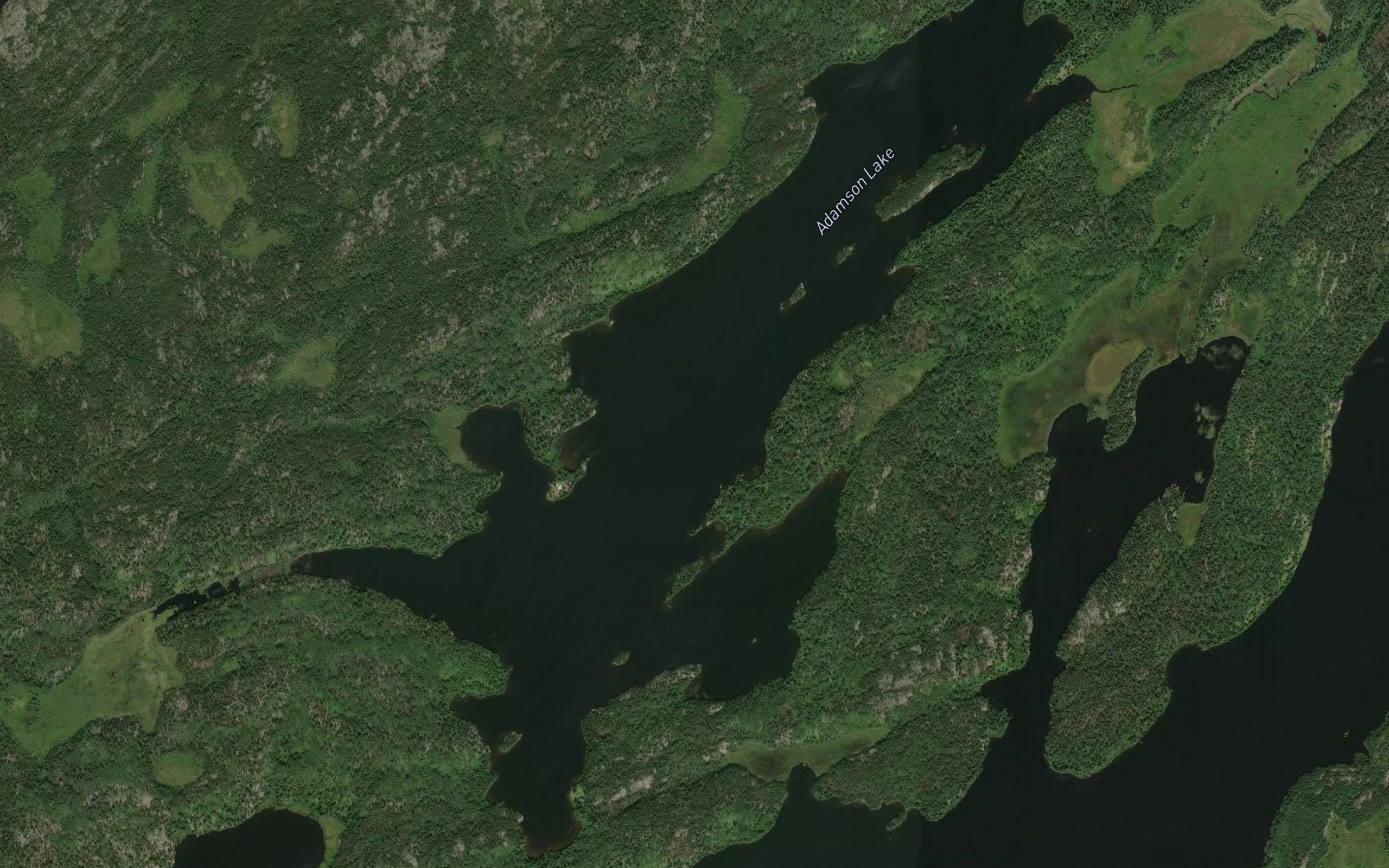 Adamson Lake