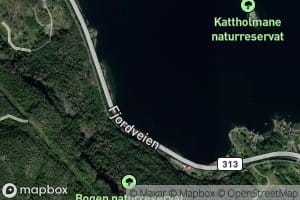 Bogebukta