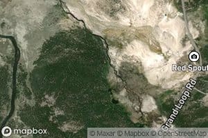 Young Hopeful Geyser