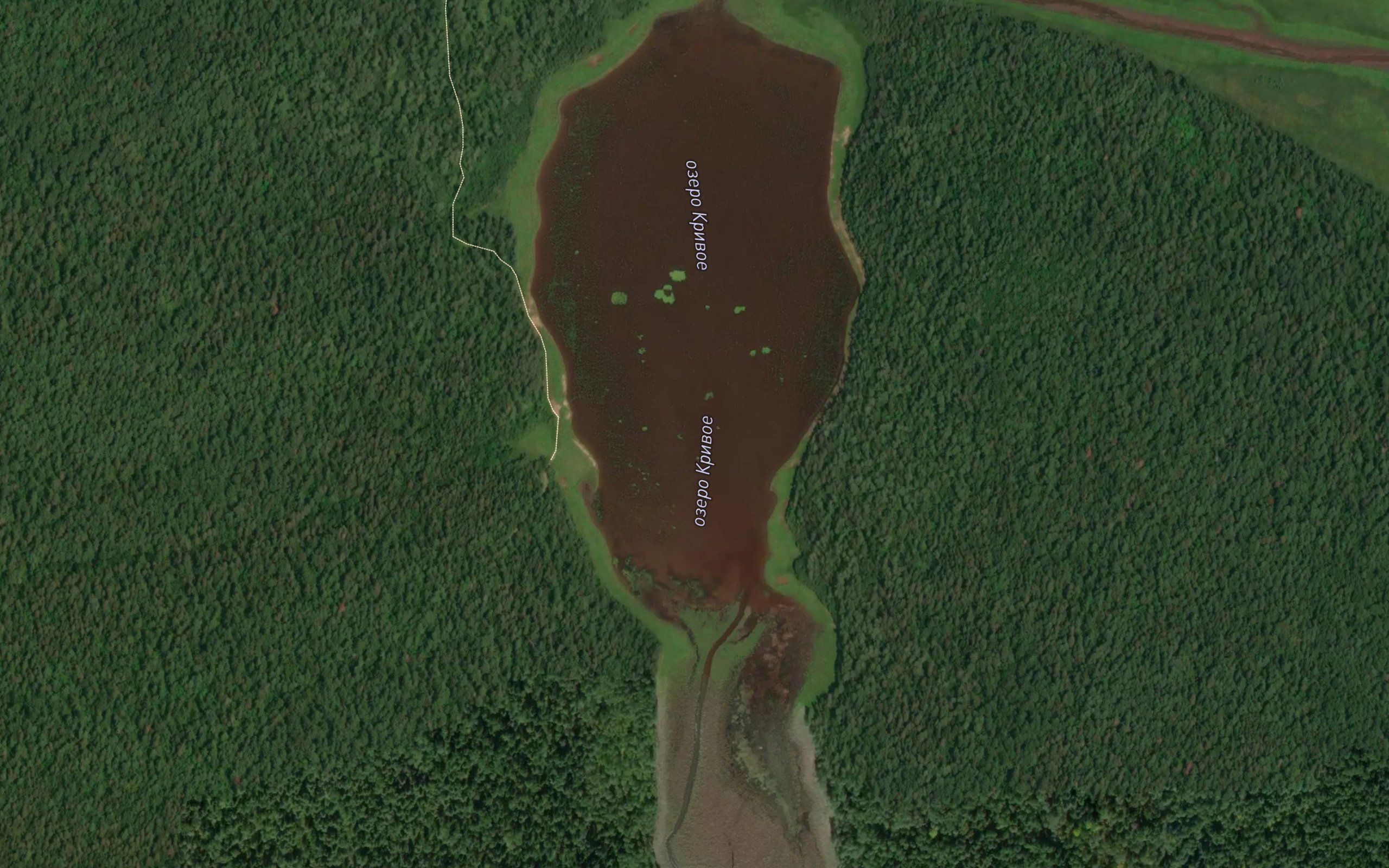 Ozero Krivoye