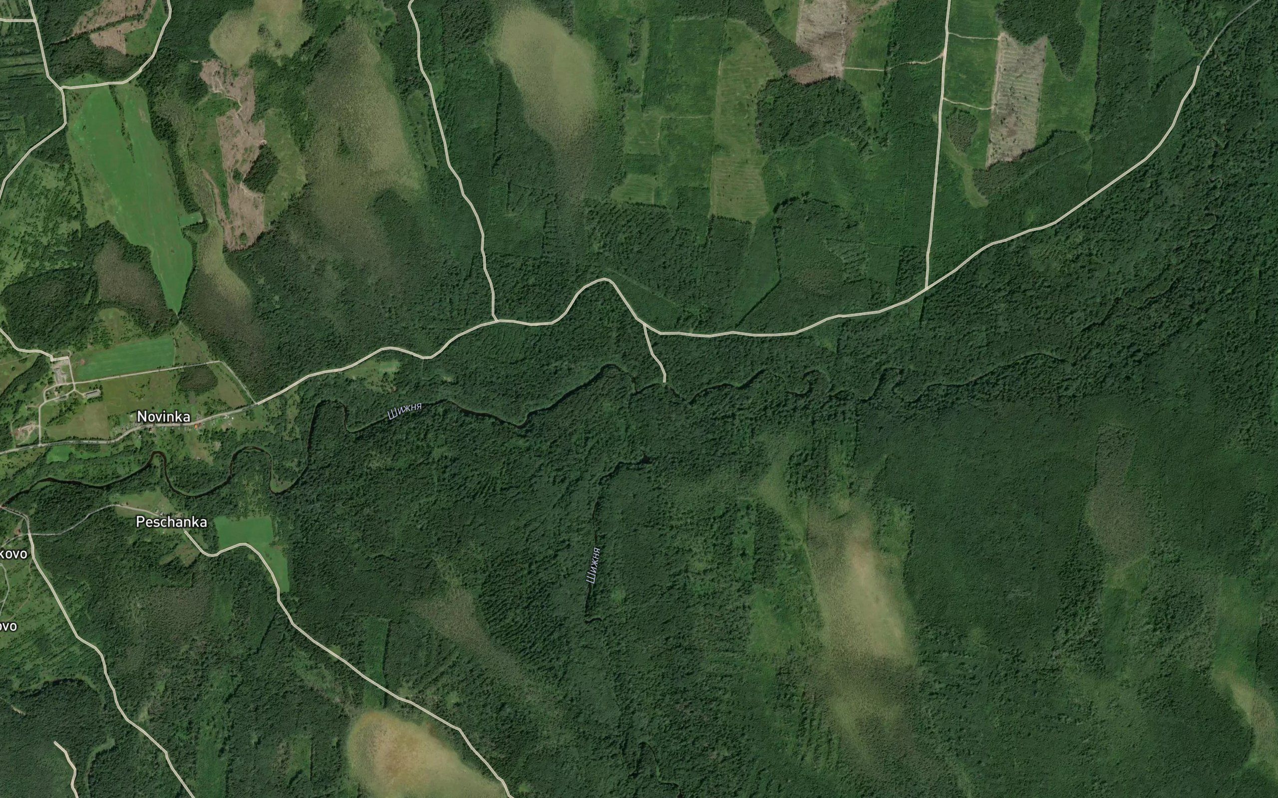 Pyarnuy