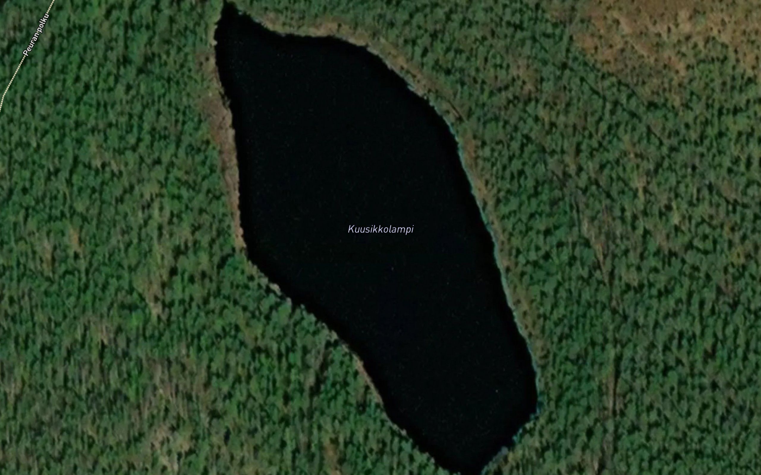 Kuusikkolampi