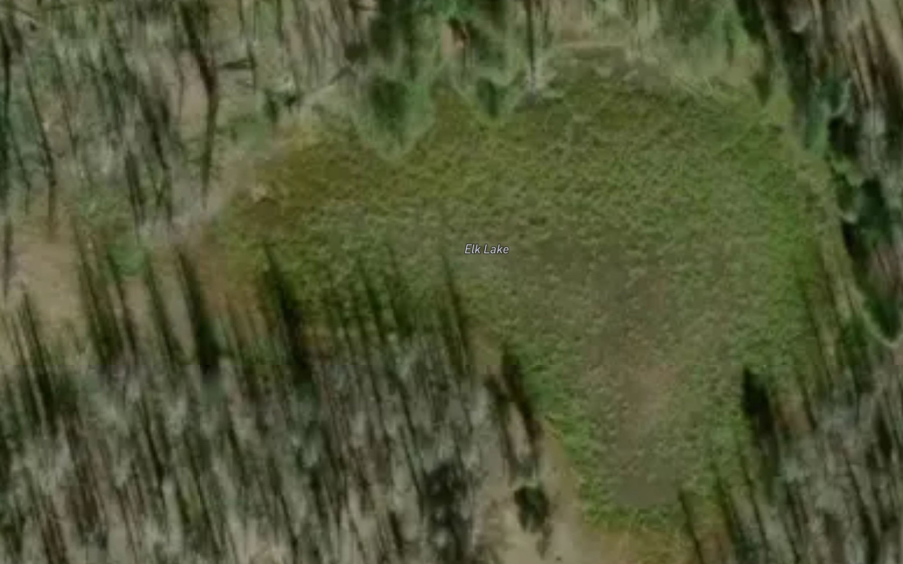 Satellite map of the Elk Lake