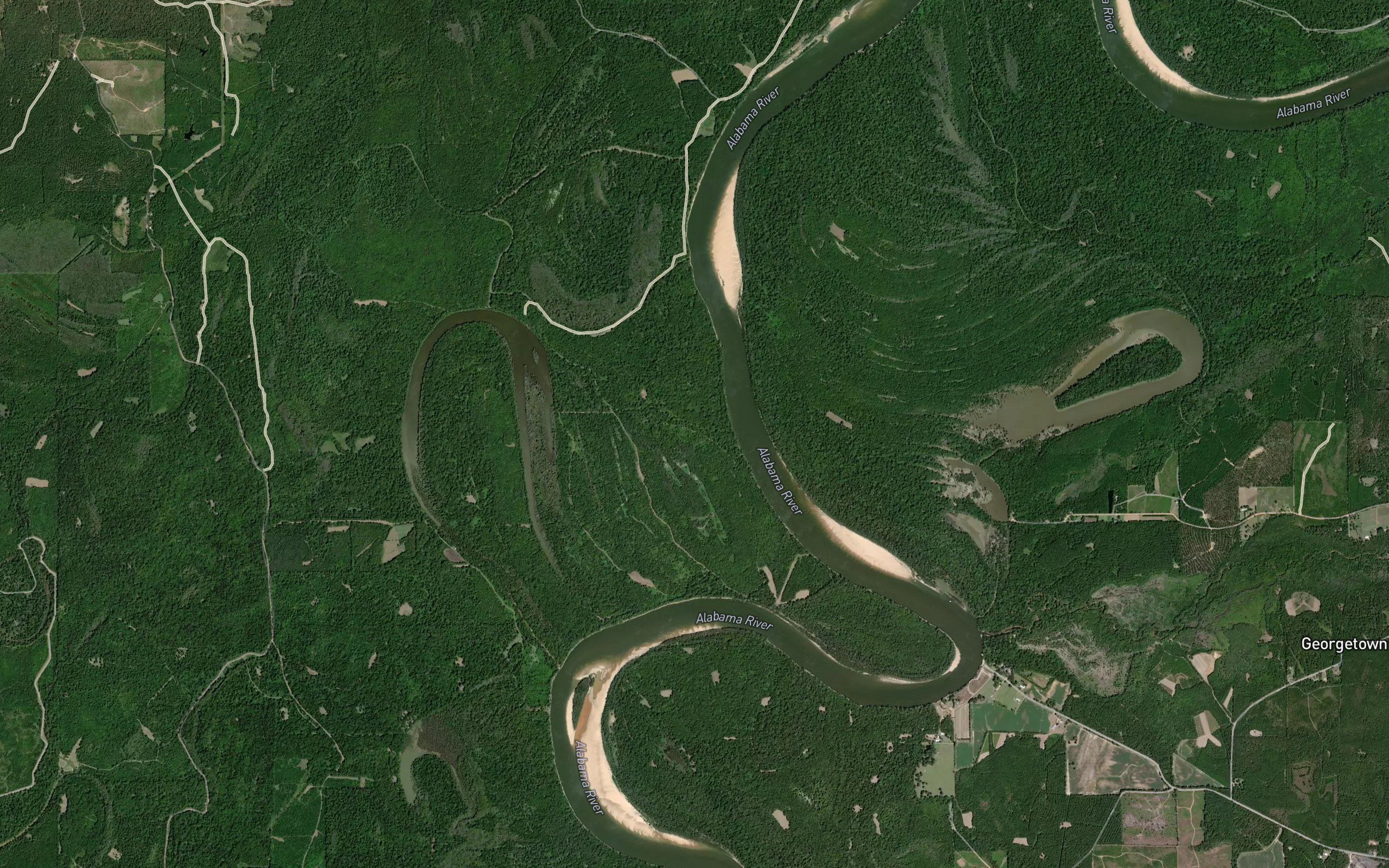Dark Brown Slough