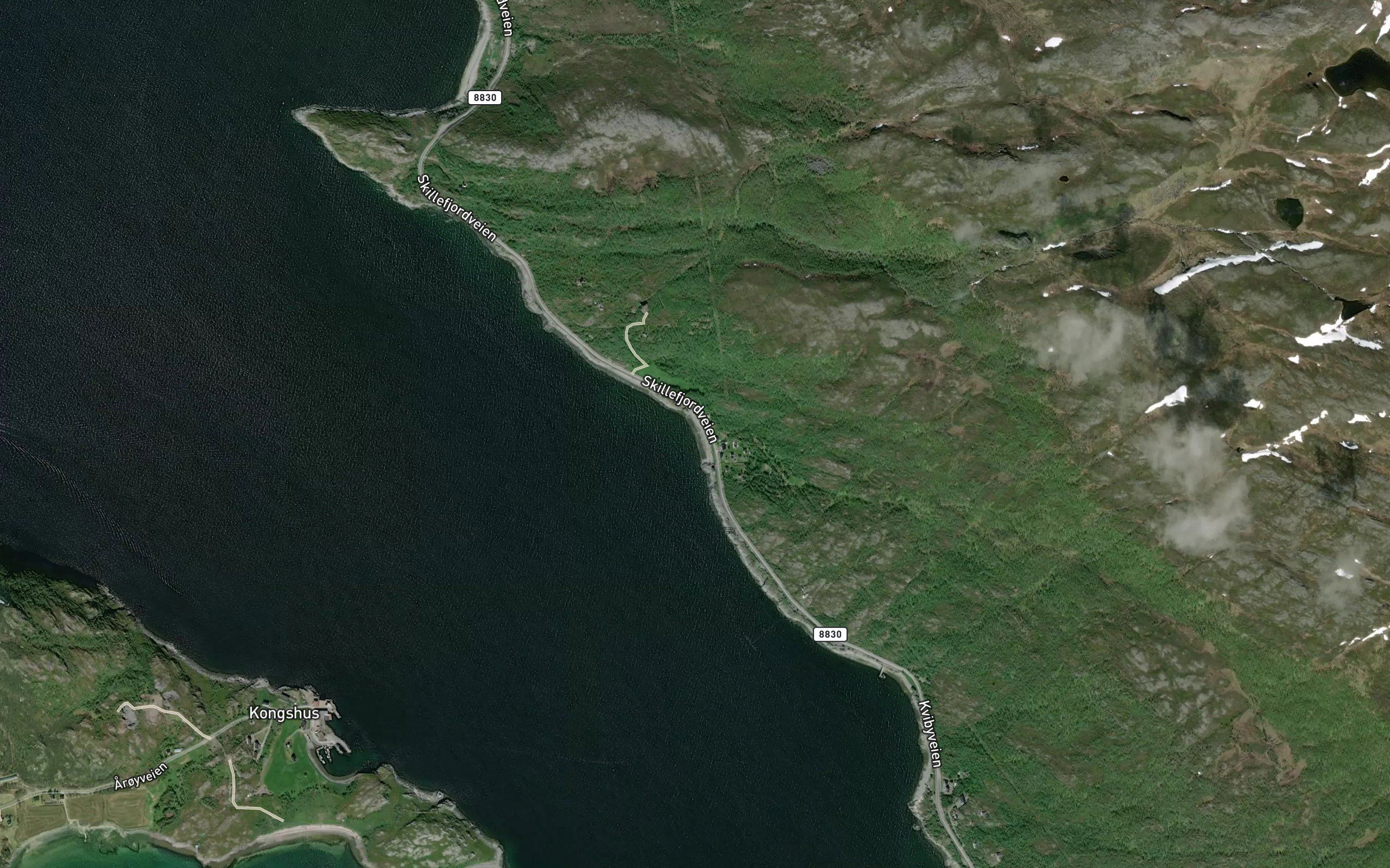 Smavika