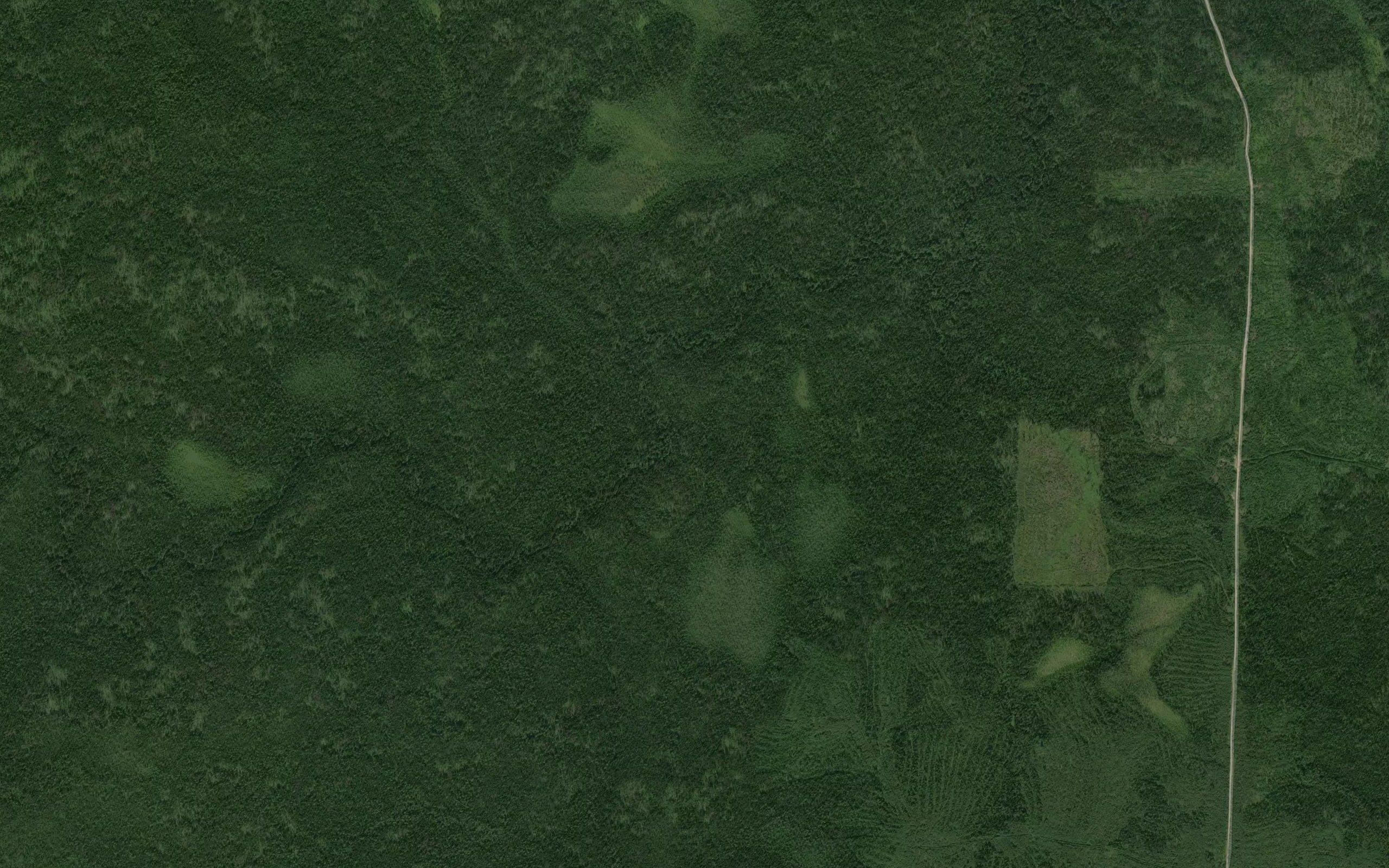 Berezovyy
