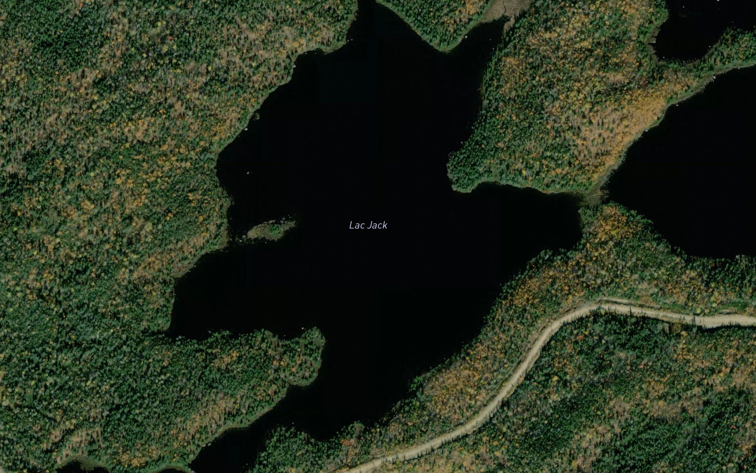 Lac Jack