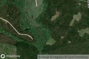 Sandy Run Creek