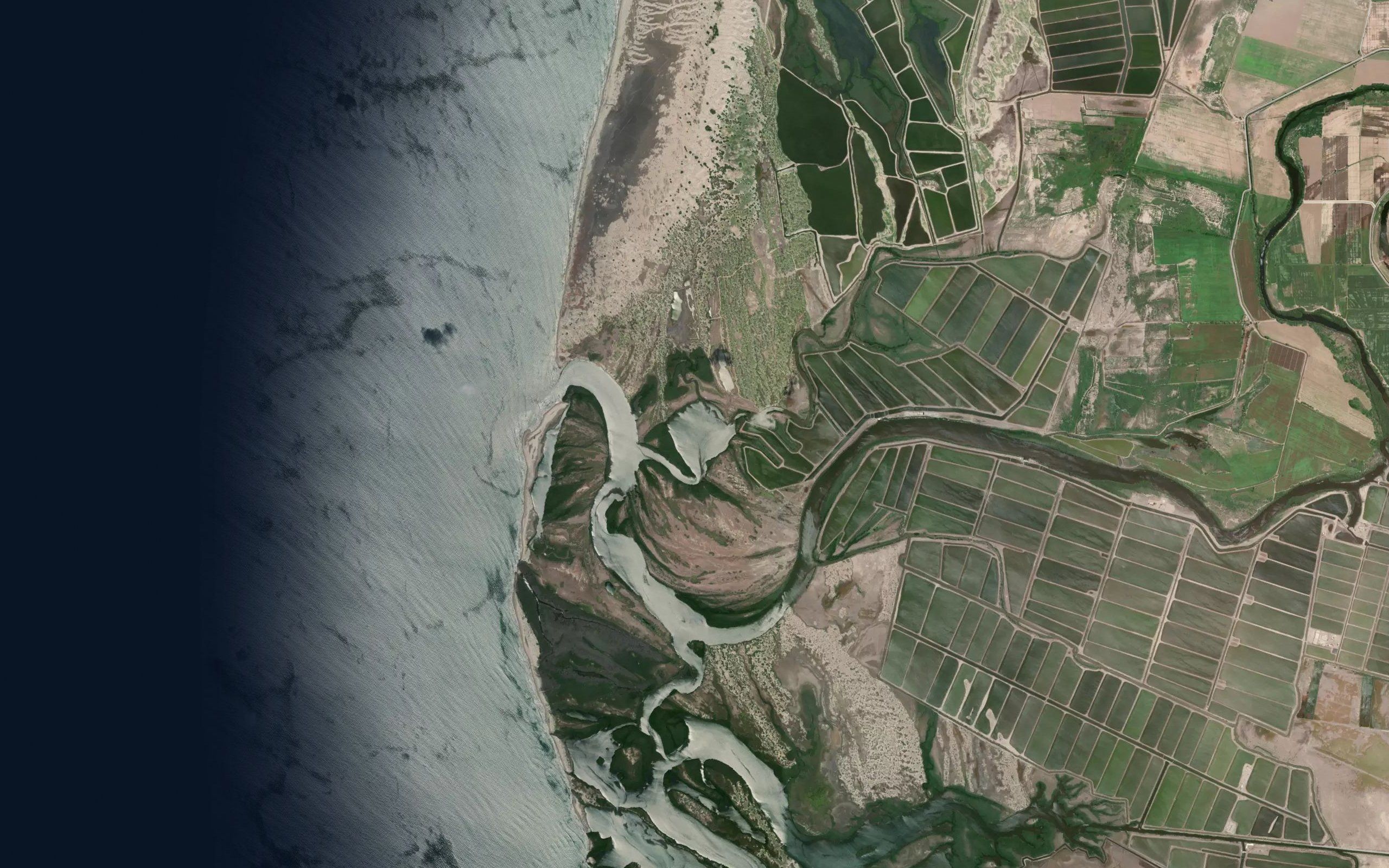 Estero el Bayado