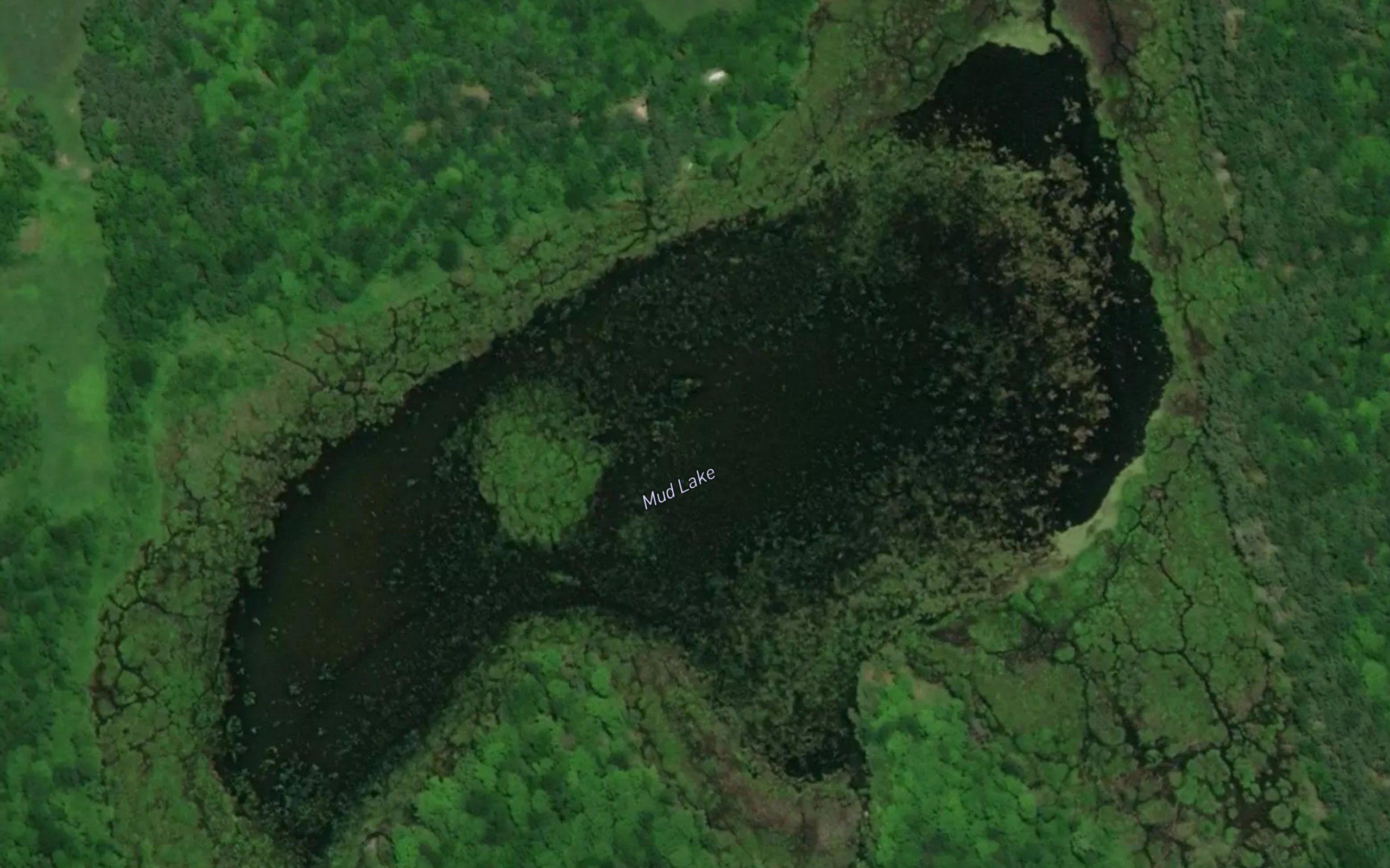 Mud Lake