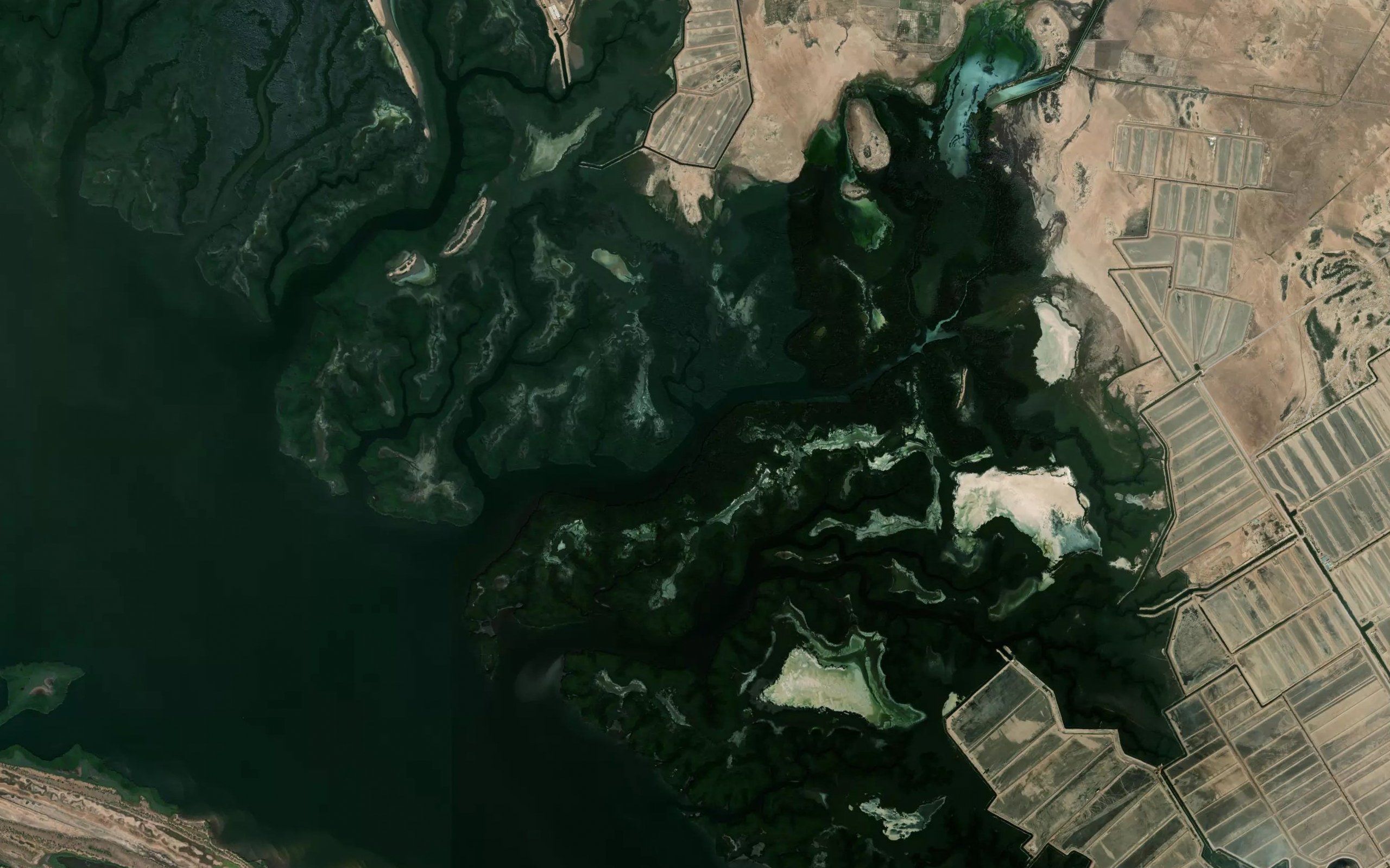 Estero el Esteron