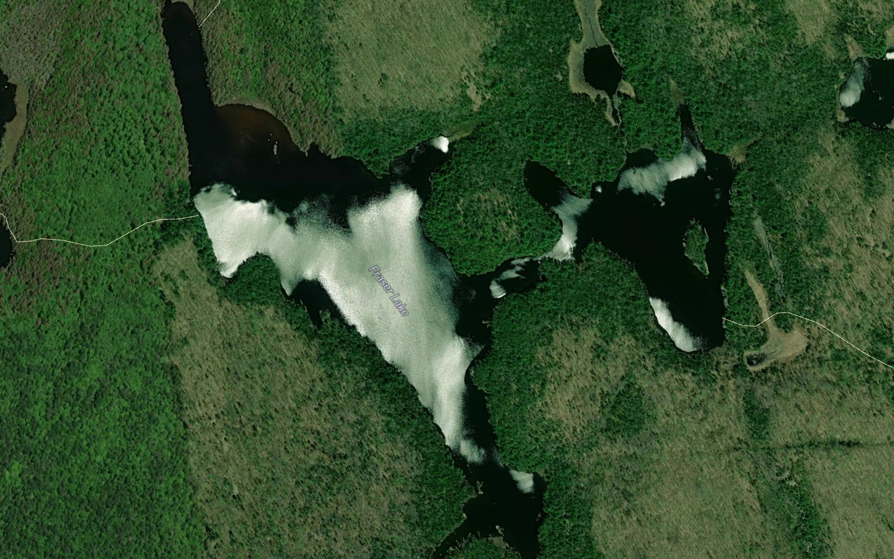 Satellite map of the Fraser Lake