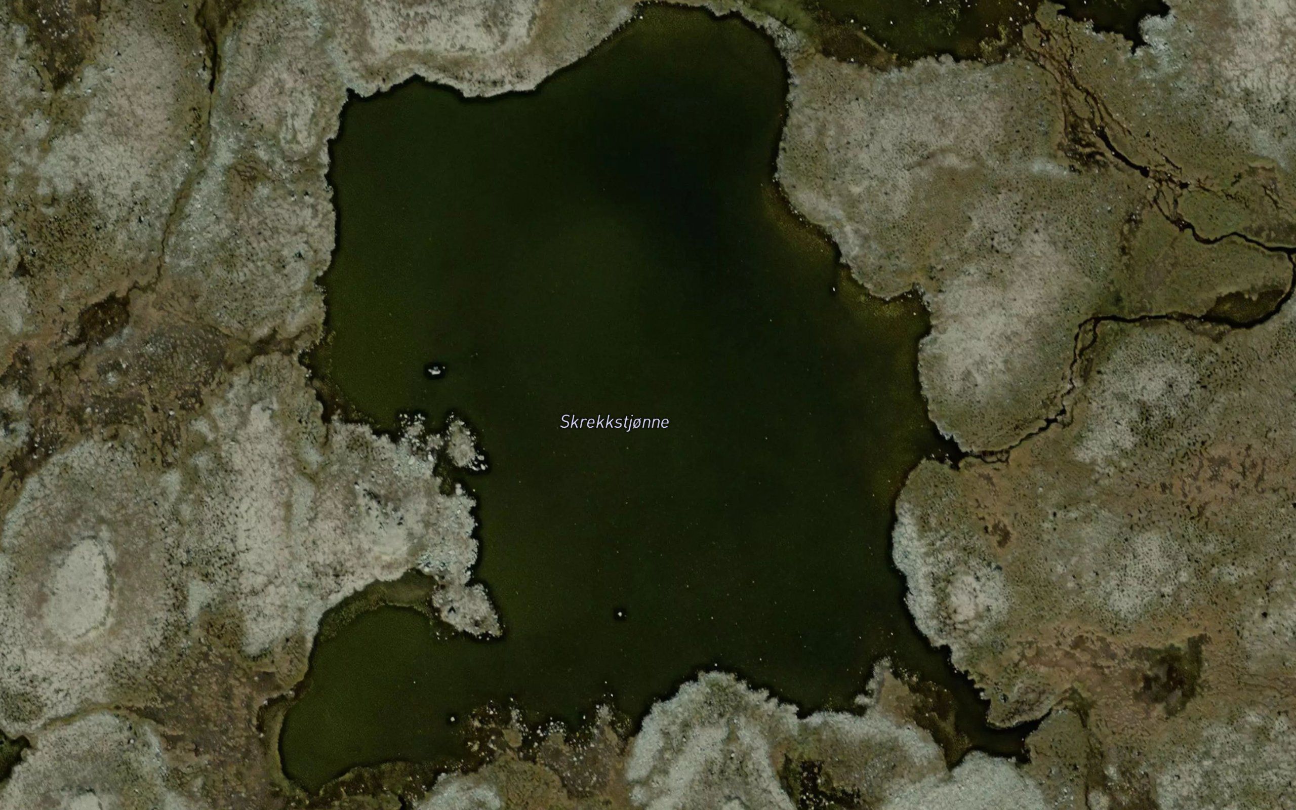 Skrekkstjonne