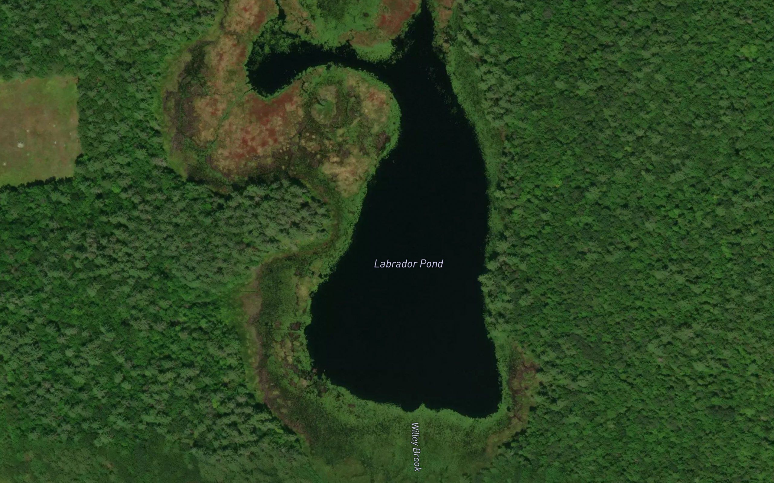 Labrador Pond