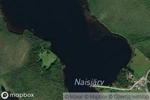 Naisjarv
