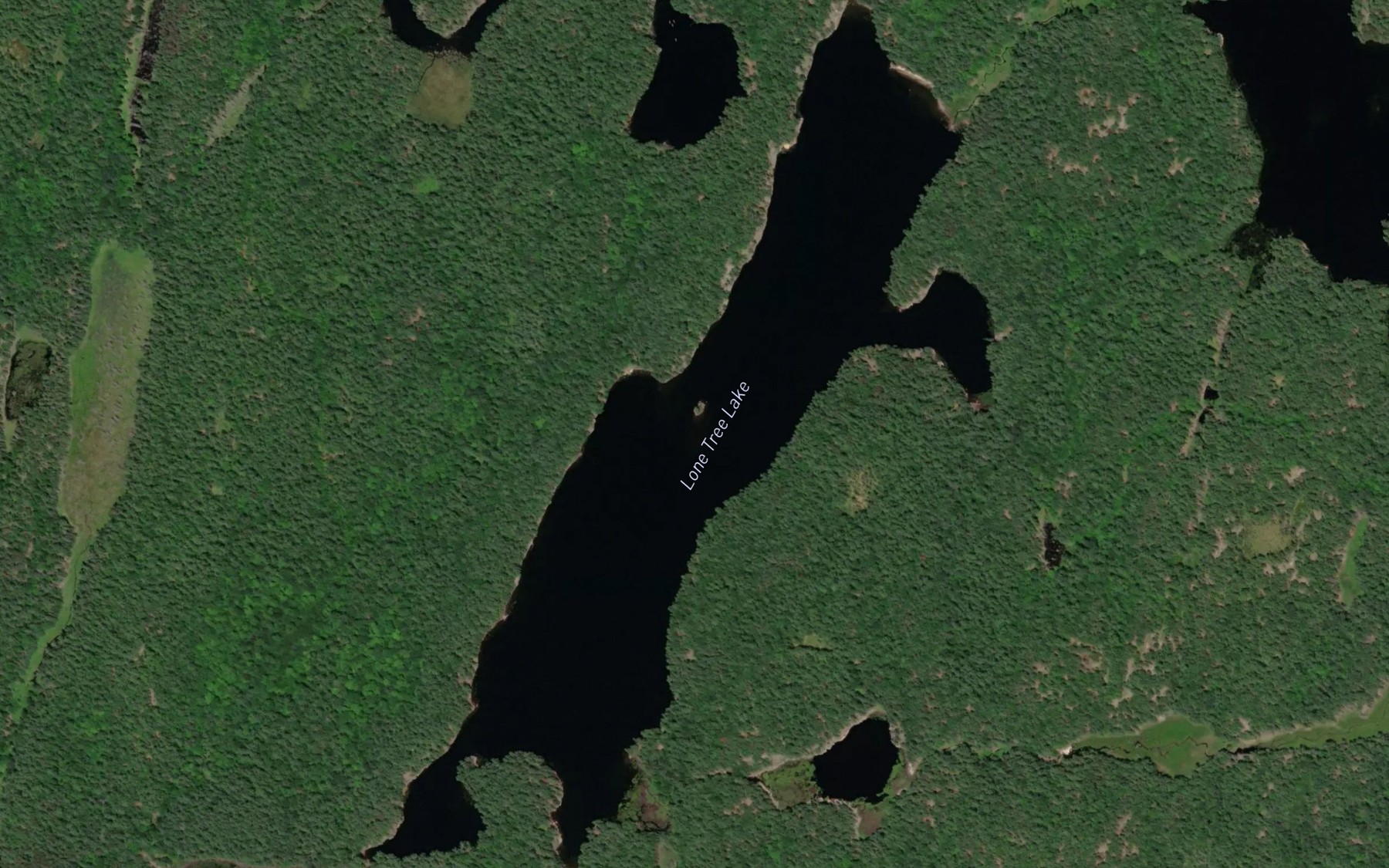Satellite map of the Lone Tree Lake