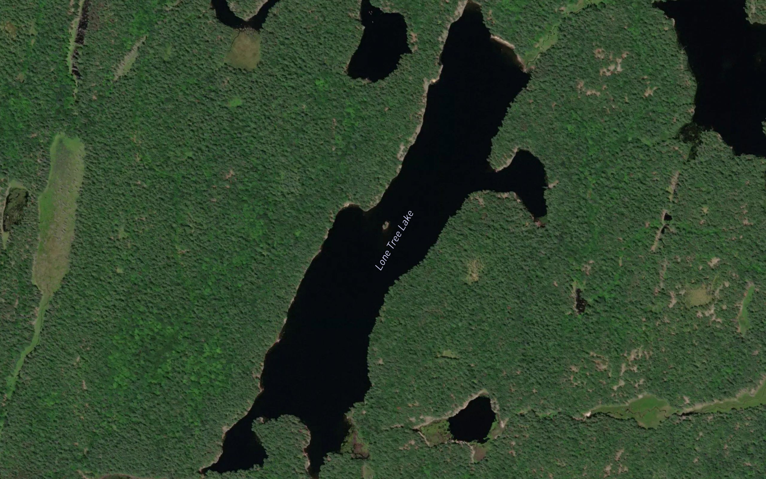 Lone Tree Lake
