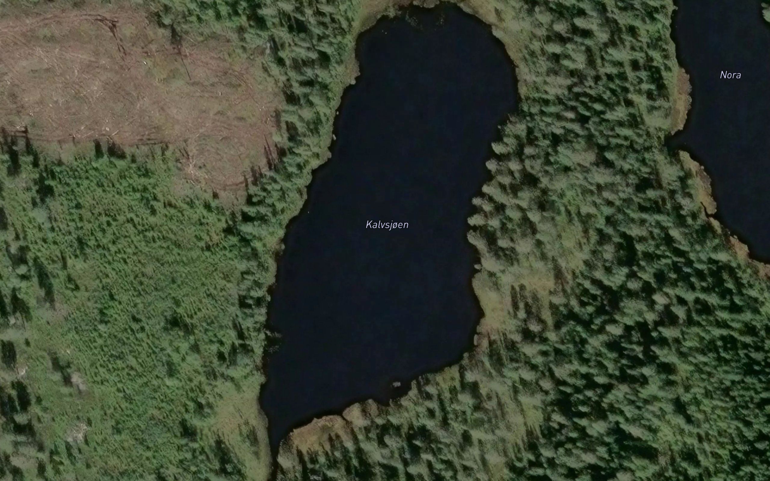 Kalvsjoen