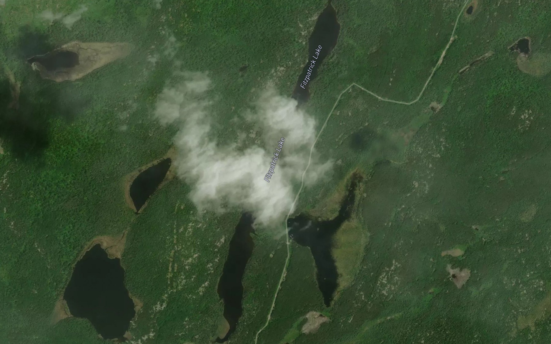 Satellite map of the Fitzpatrick Lake