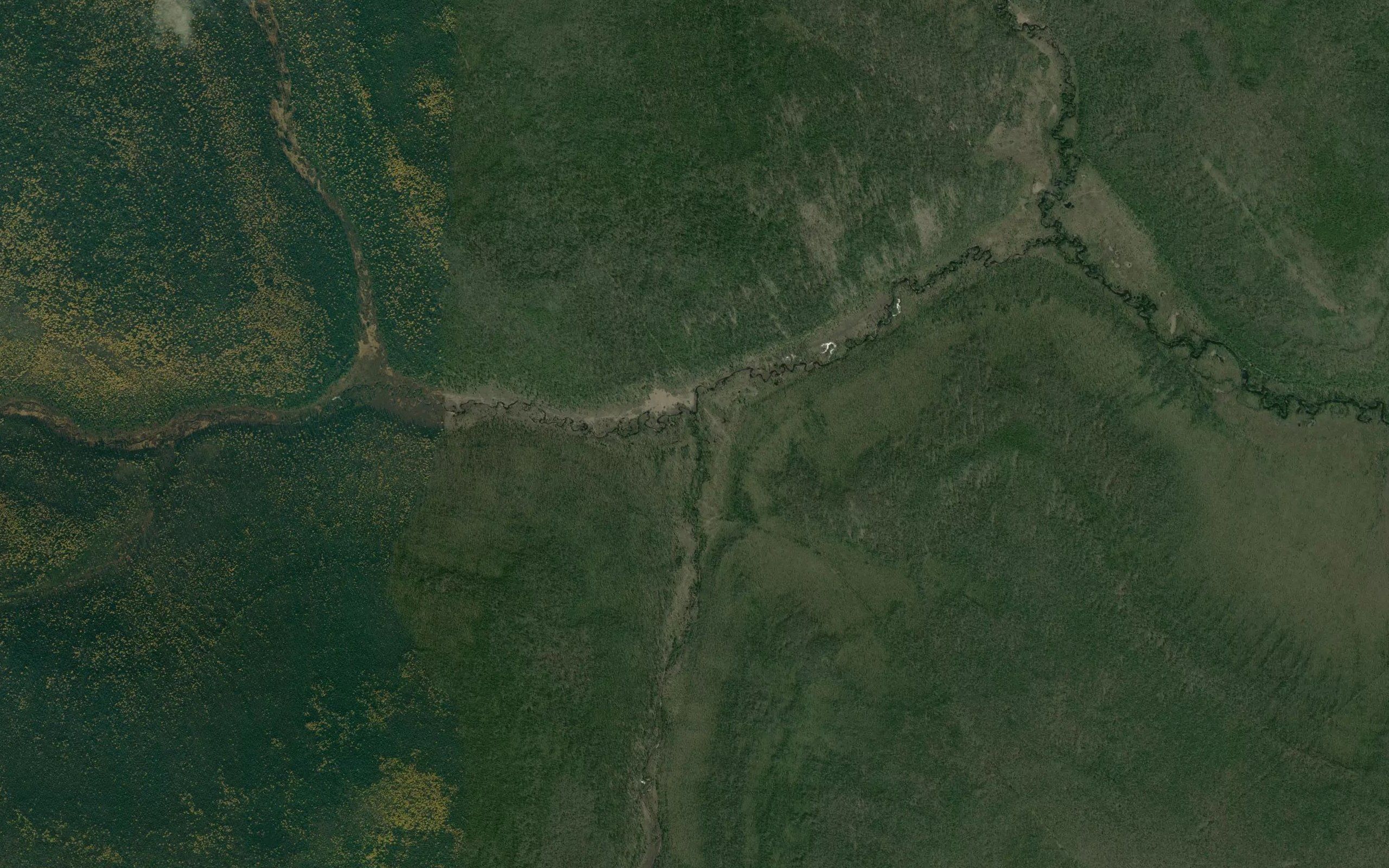 Zemlyanichnyy