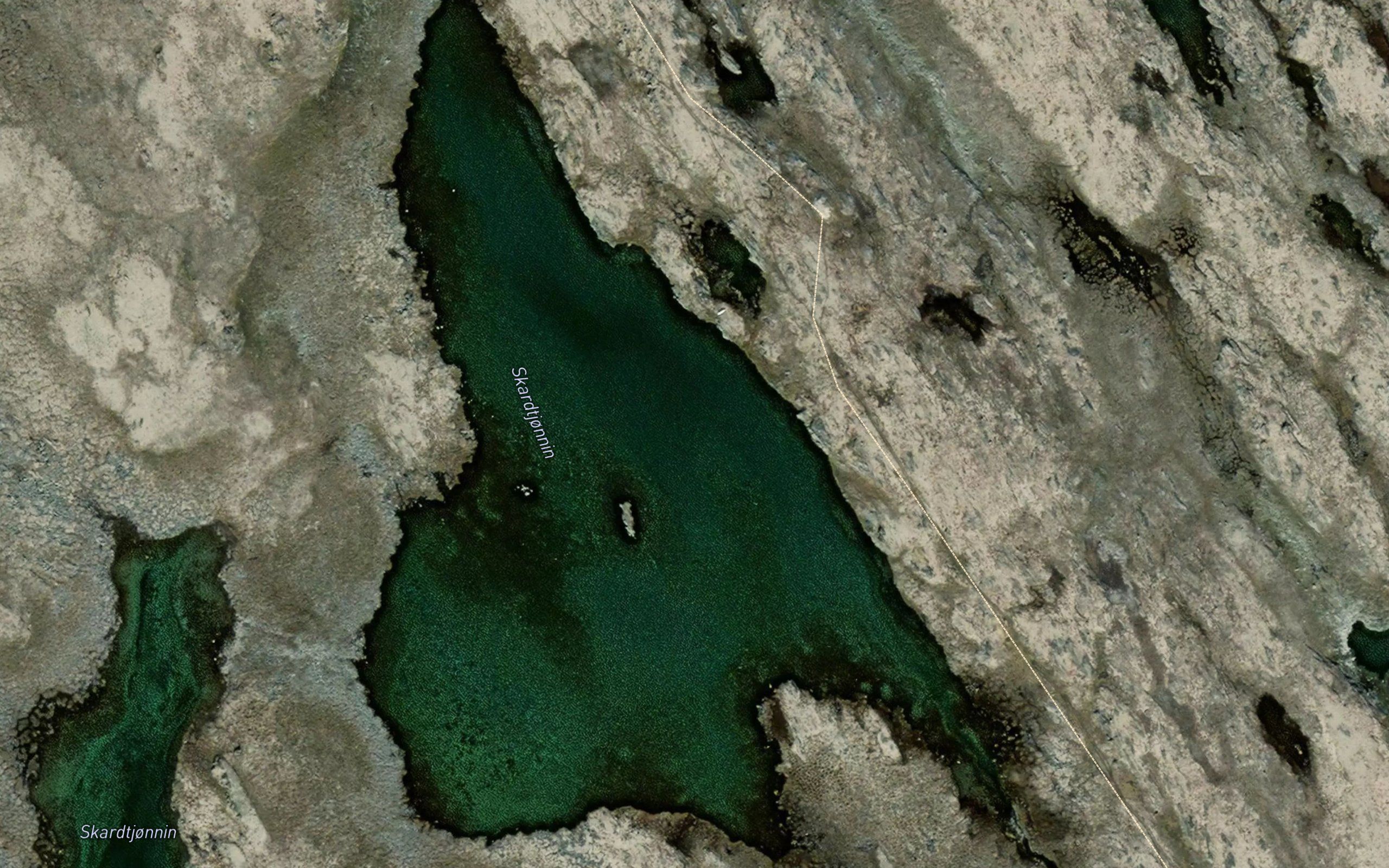 Skardtjornene